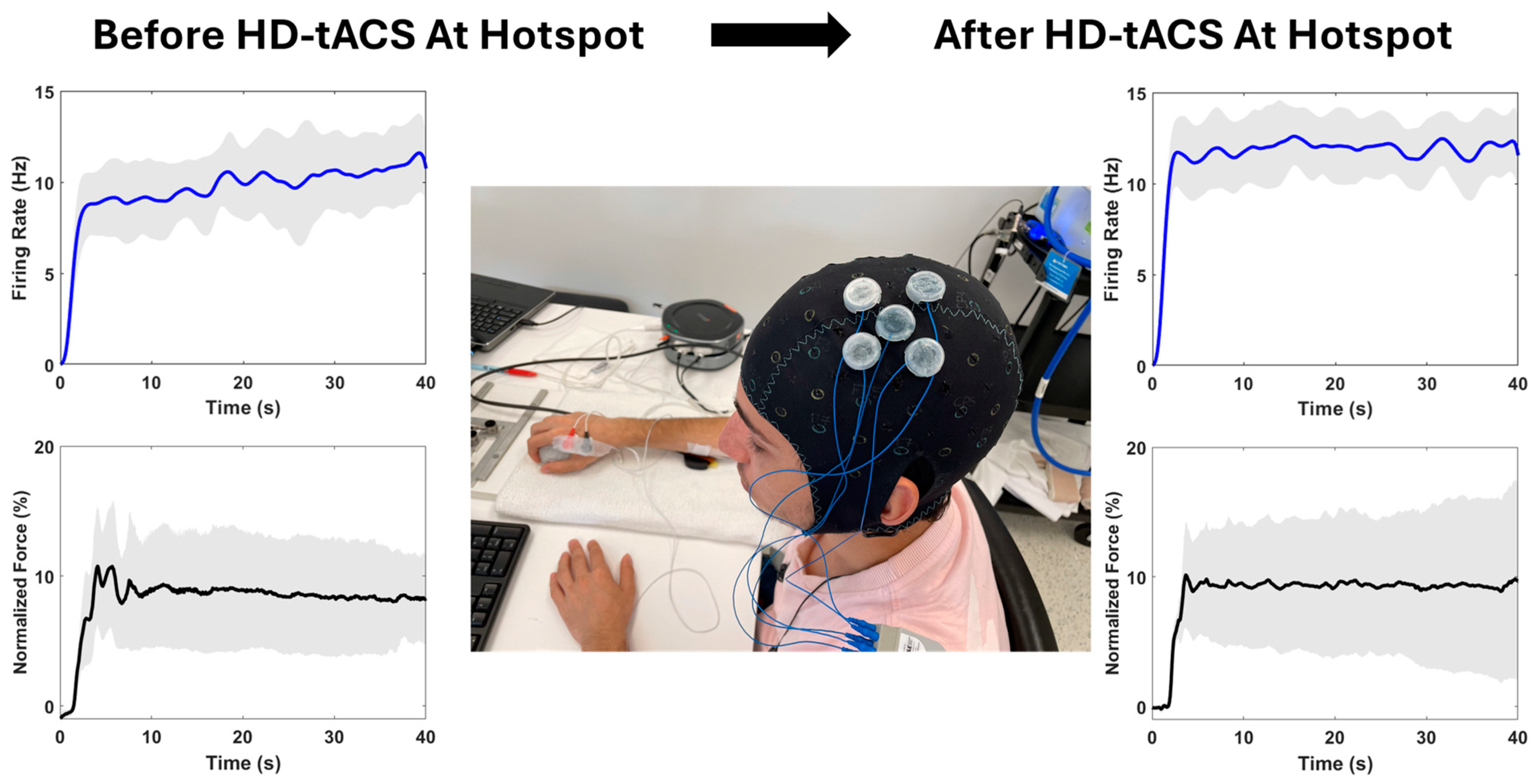 Biomedicines 12 02635 g001