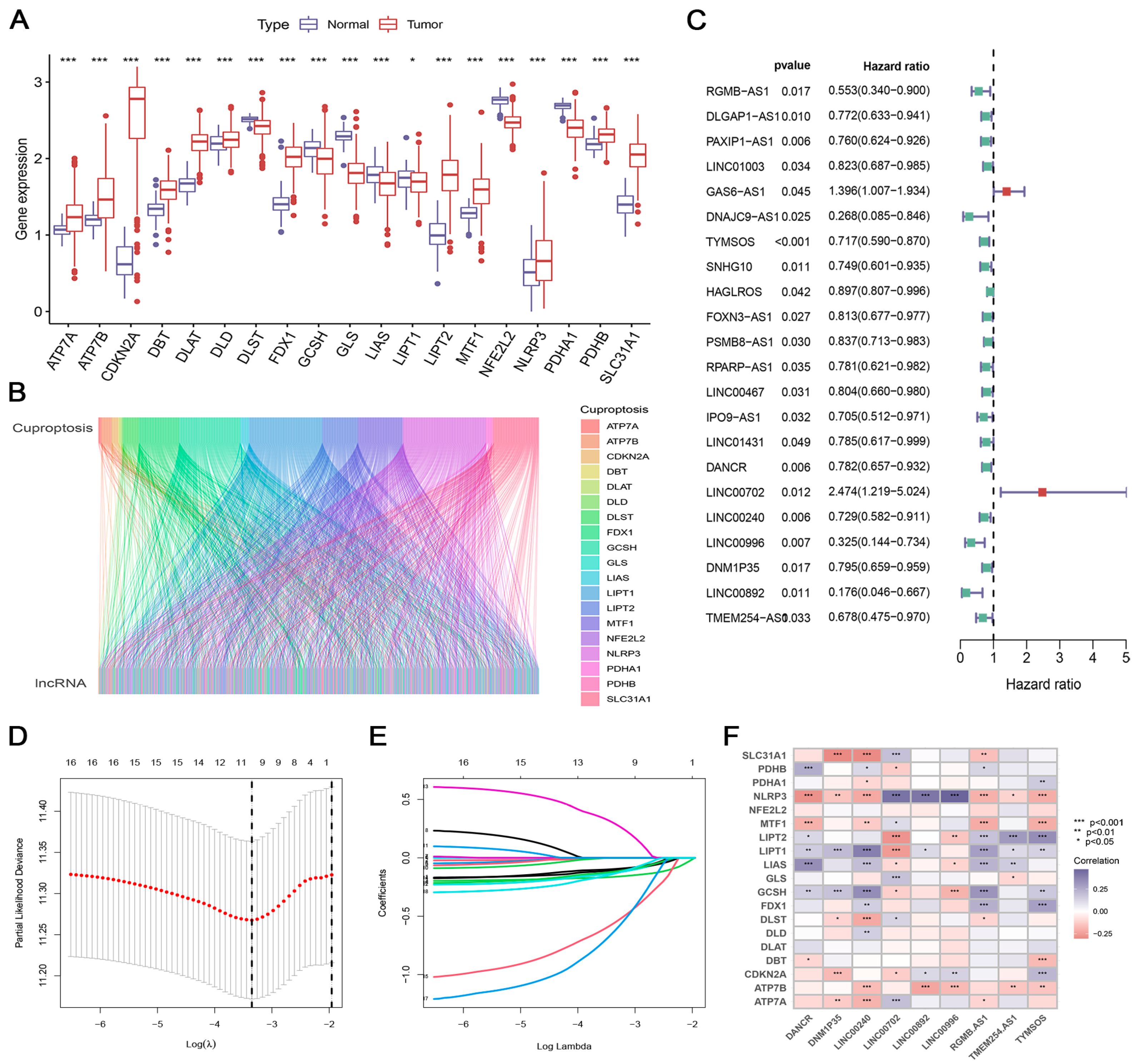 Biomedicines 12 02640 g001