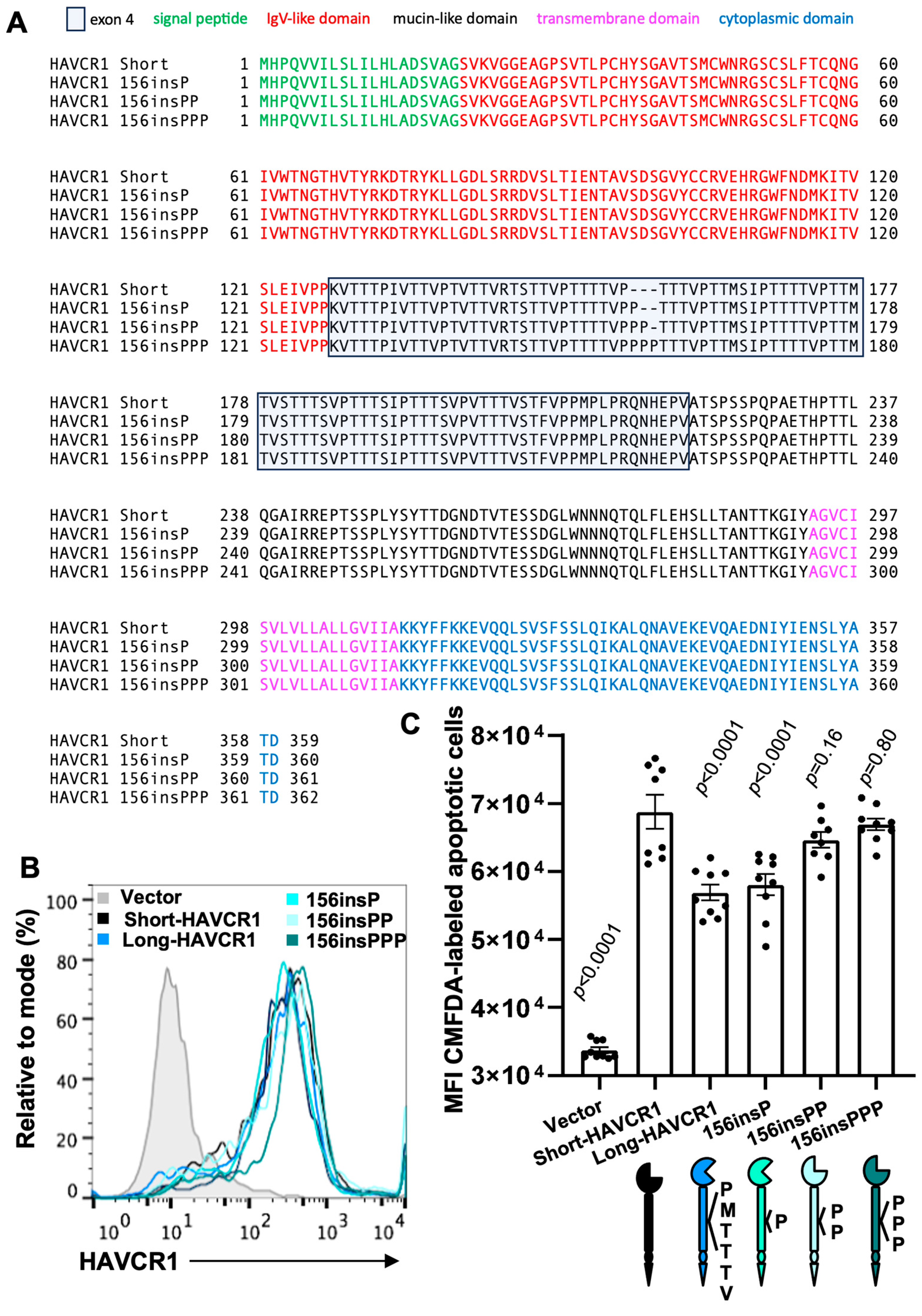 Biomedicines 12 02643 g004