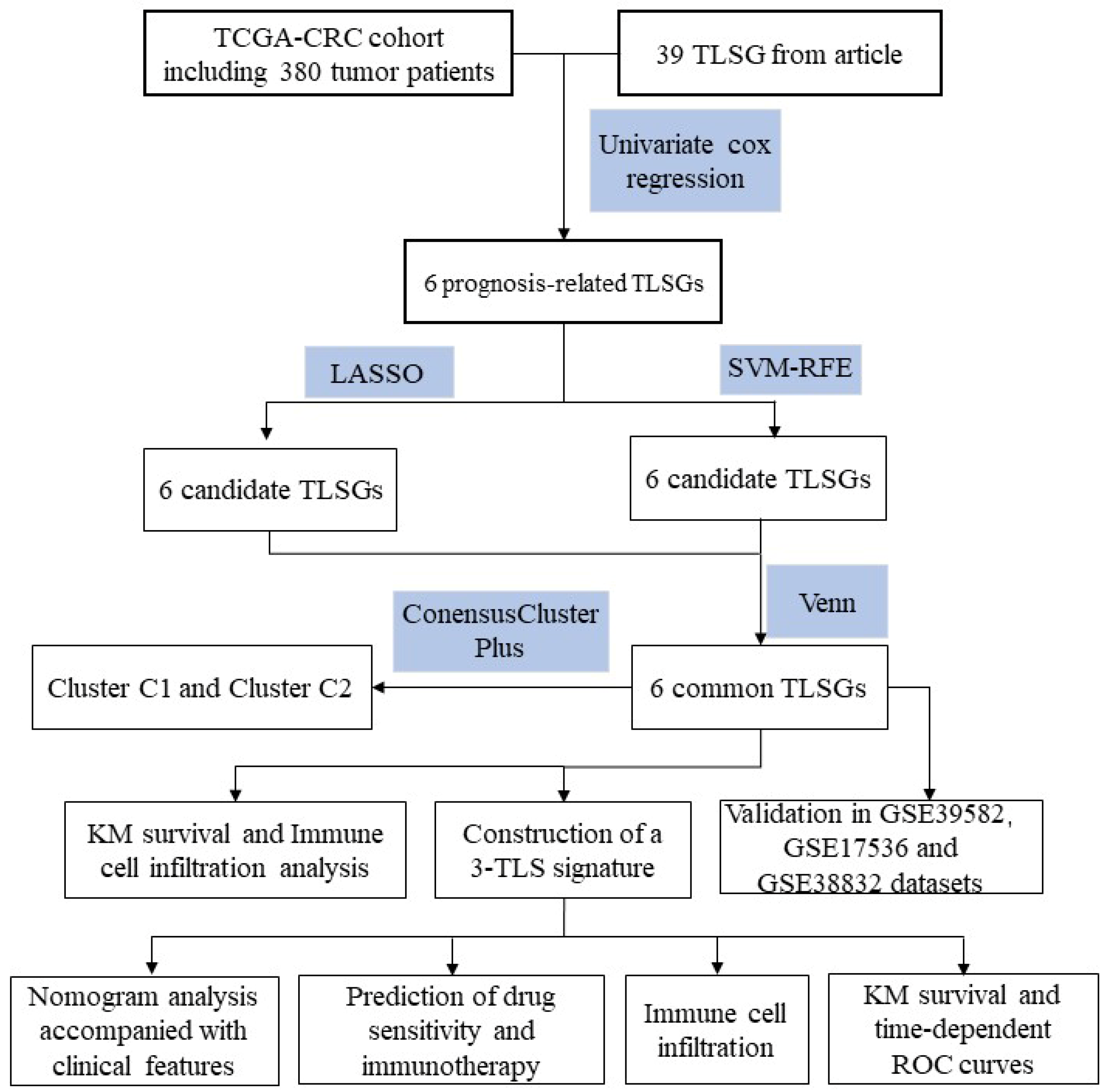 Biomedicines 12 02644 g001