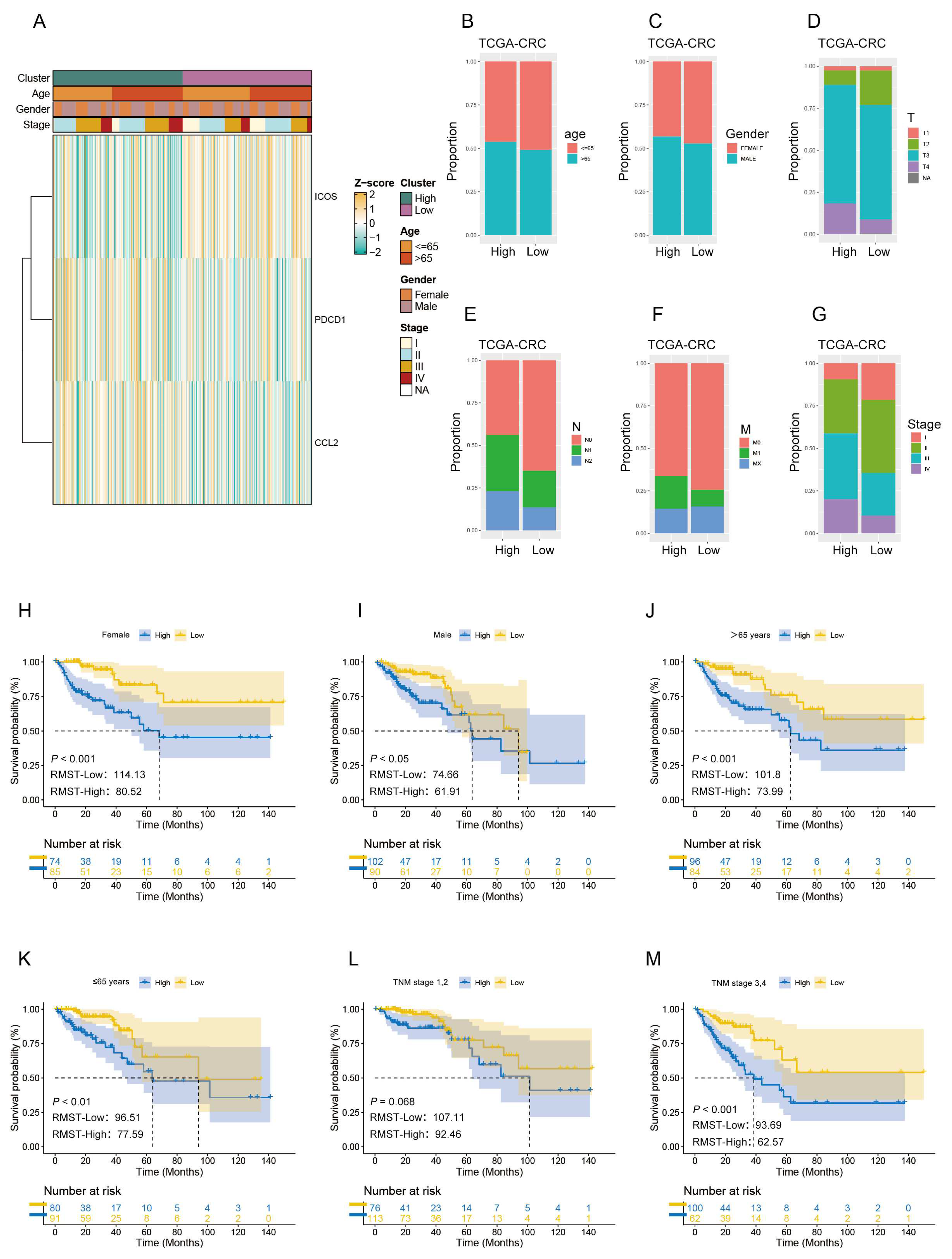 Biomedicines 12 02644 g004