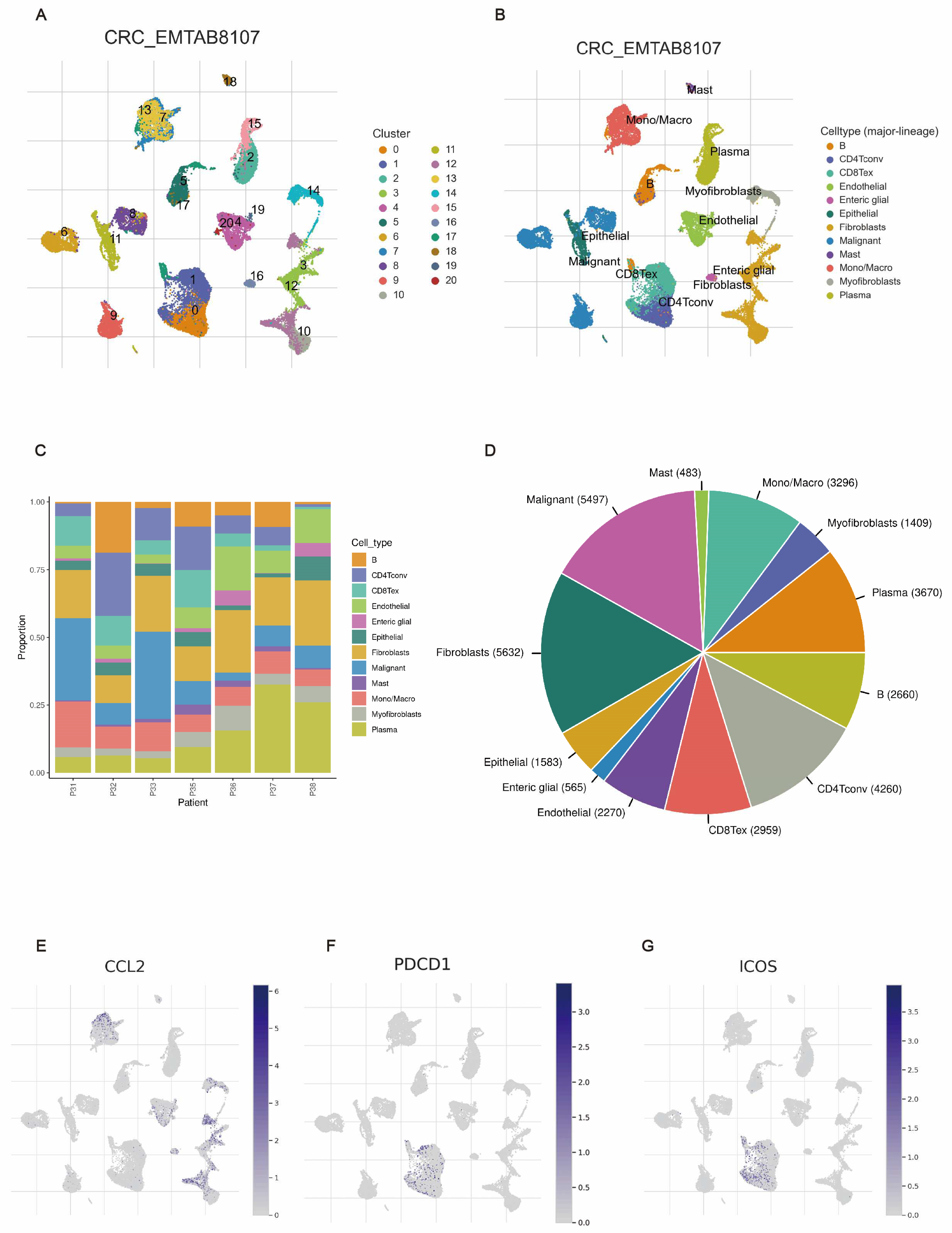 Biomedicines 12 02644 g007