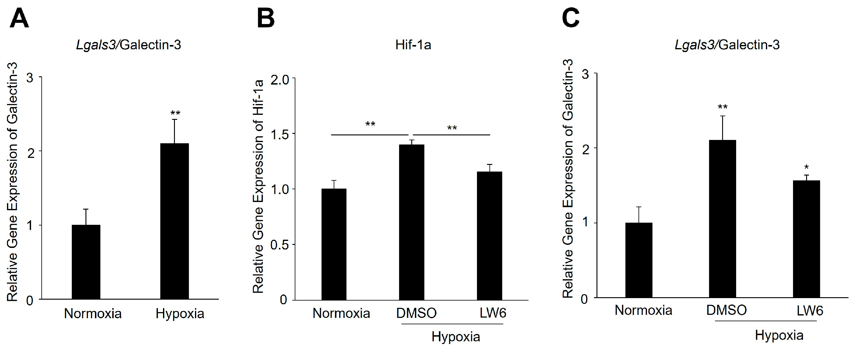 Biomedicines 12 02649 g005