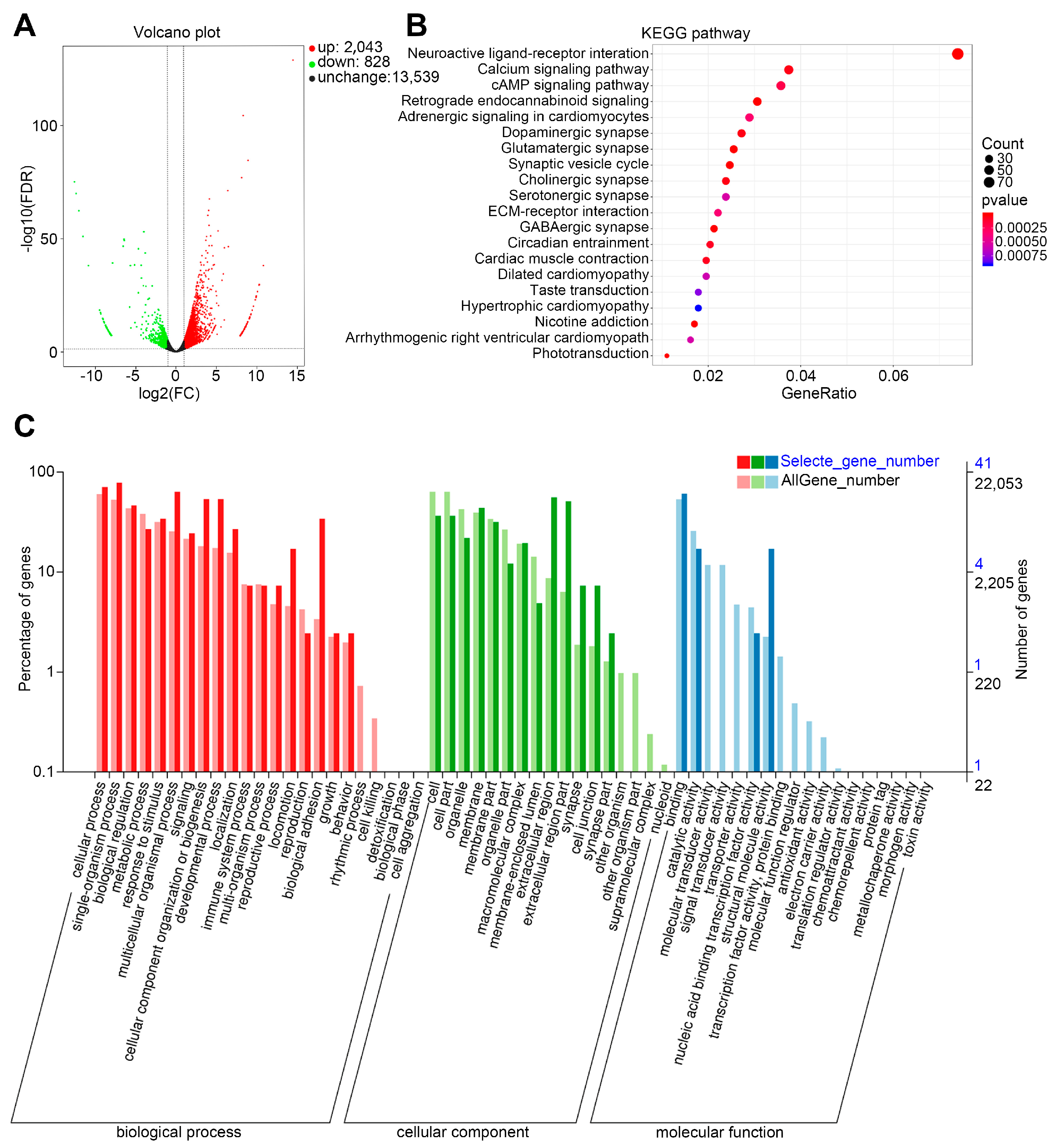 Biomedicines 12 02649 g006