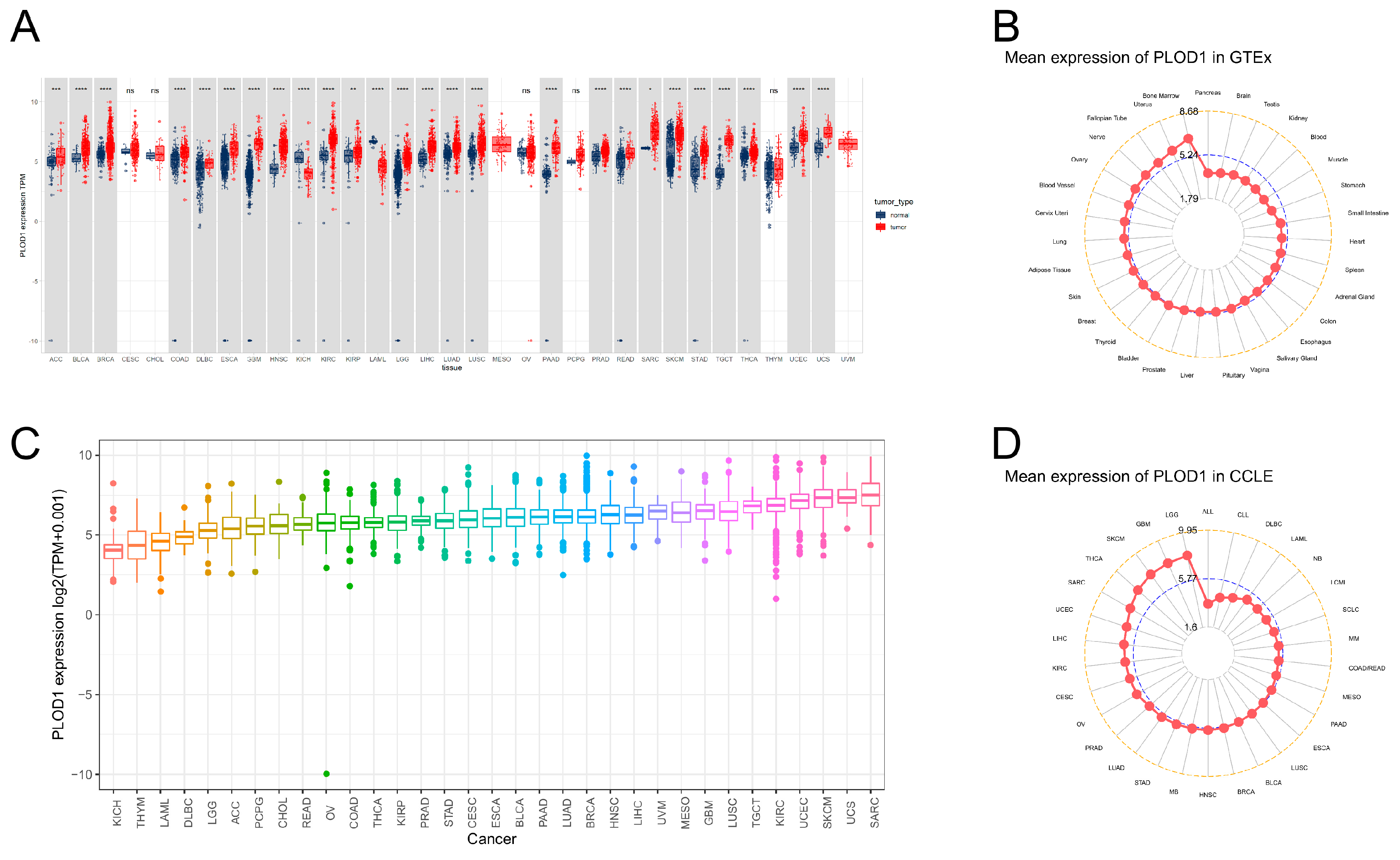 Biomedicines 12 02653 g001