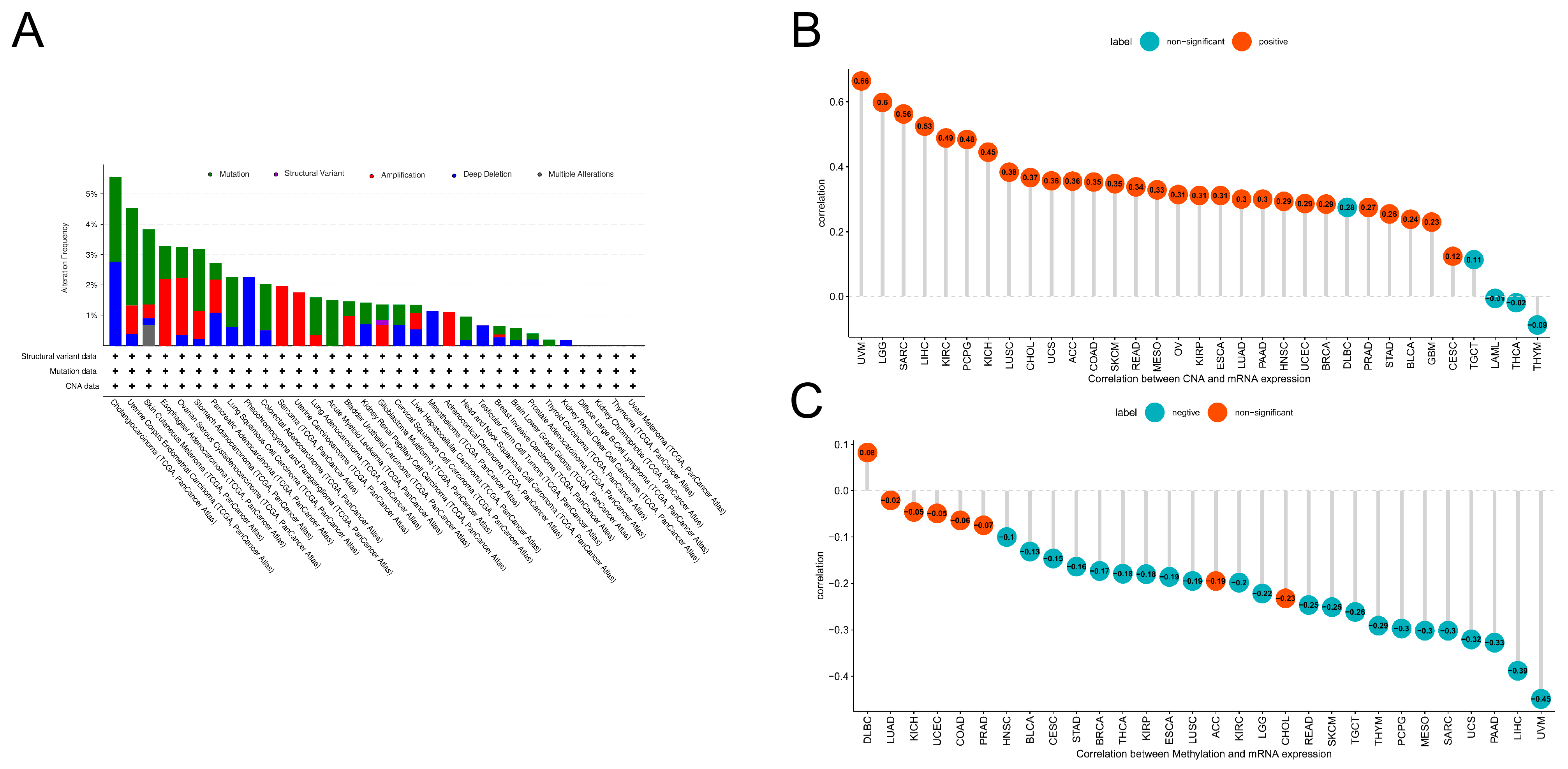 Biomedicines 12 02653 g002