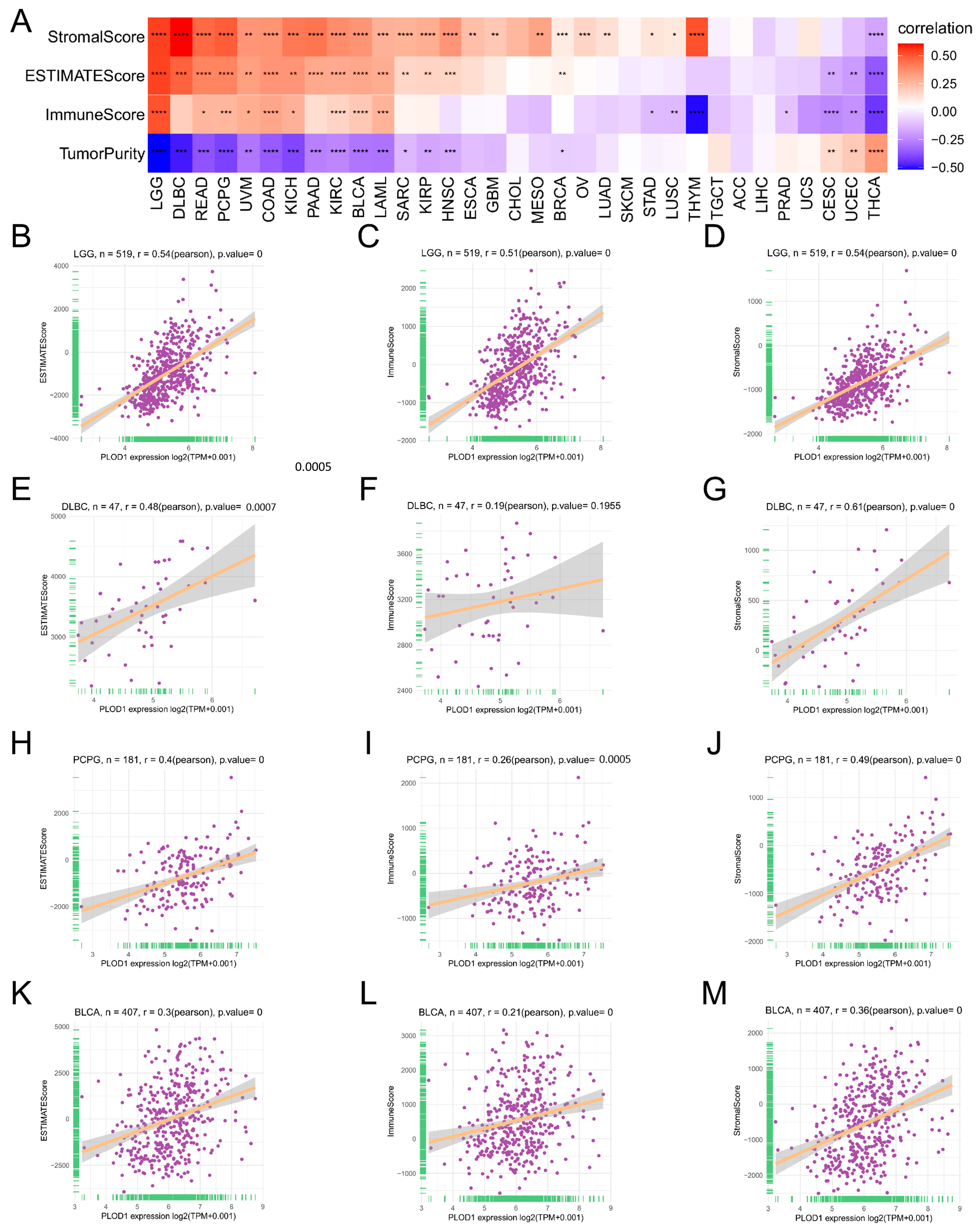 Biomedicines 12 02653 g005