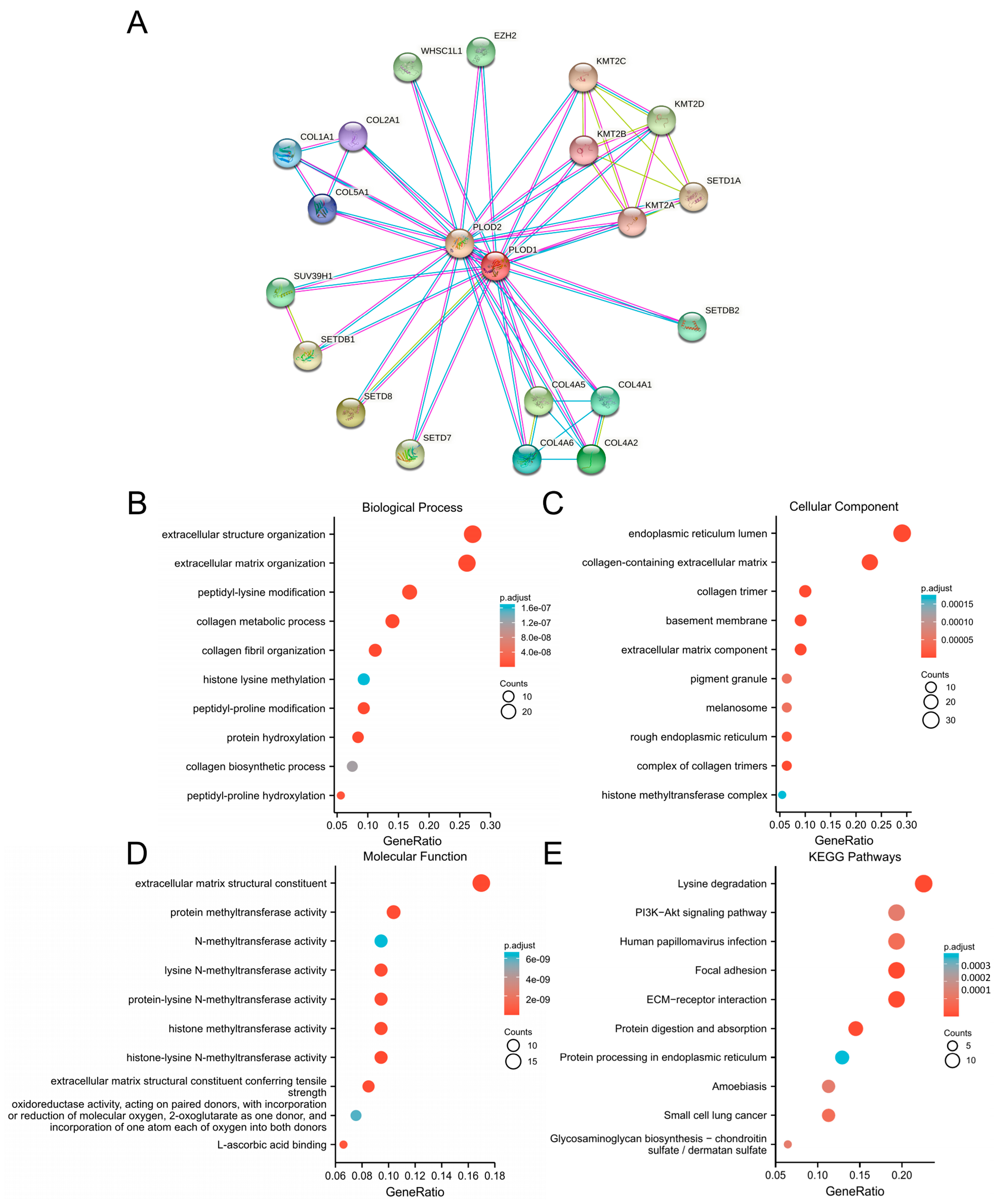 Biomedicines 12 02653 g008