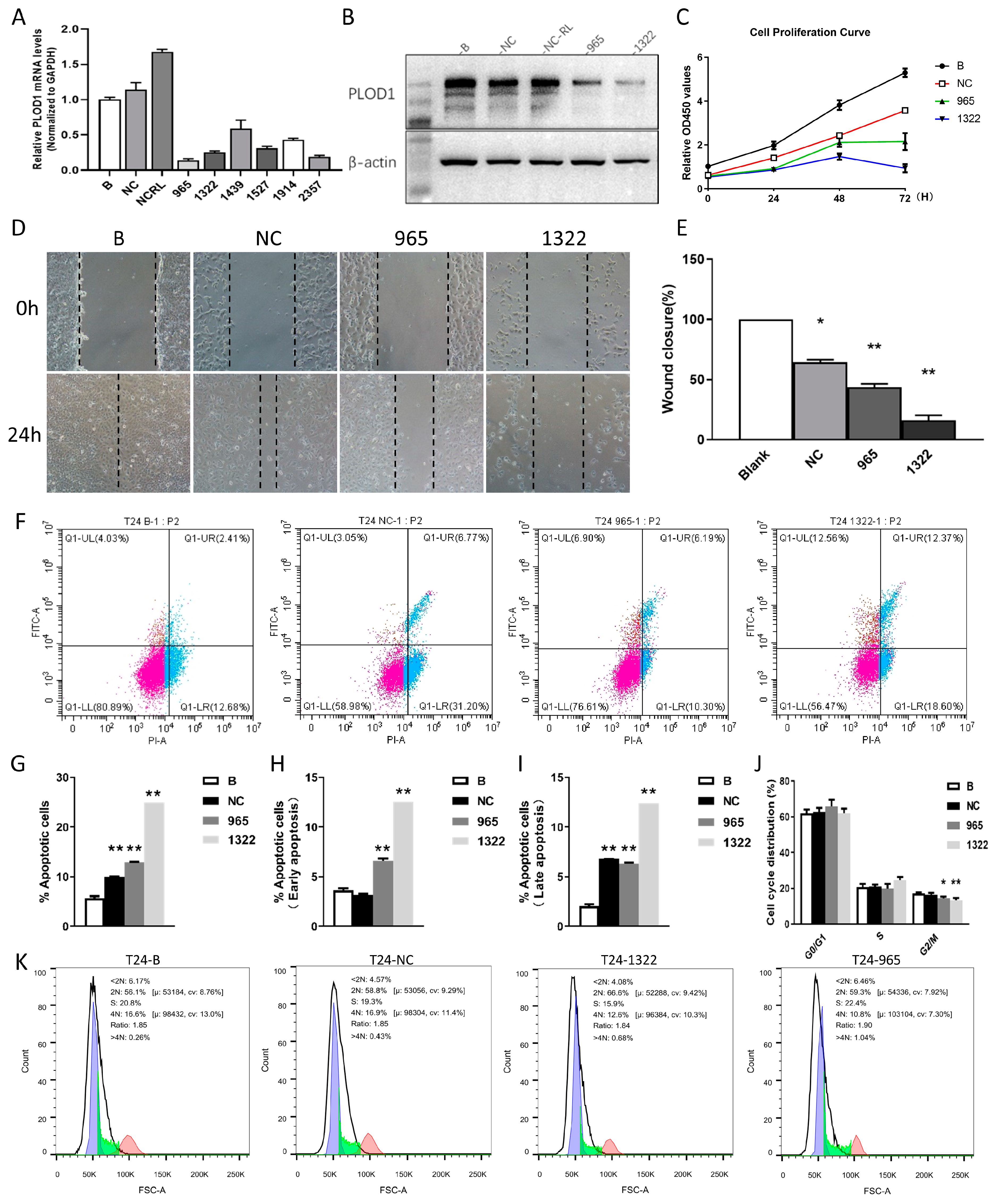 Biomedicines 12 02653 g010