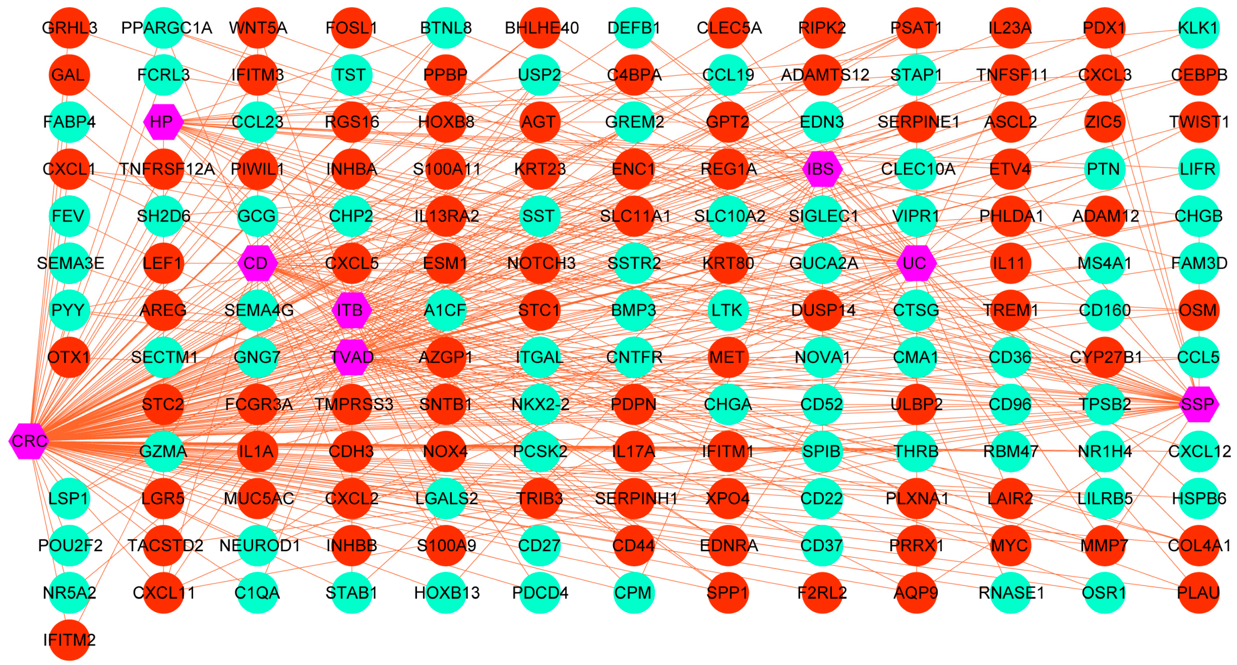 Biomedicines 12 02656 g002