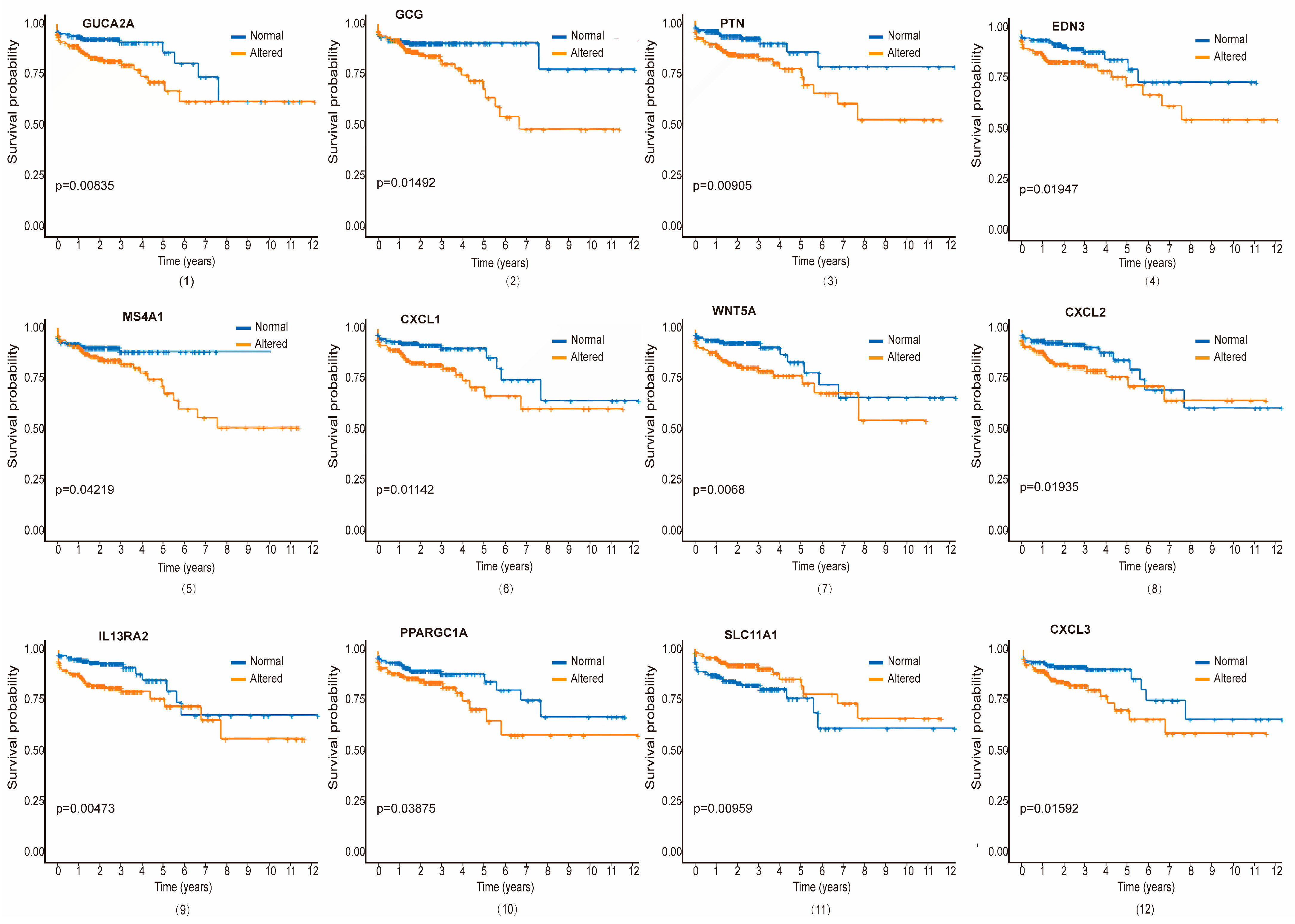 Biomedicines 12 02656 g005