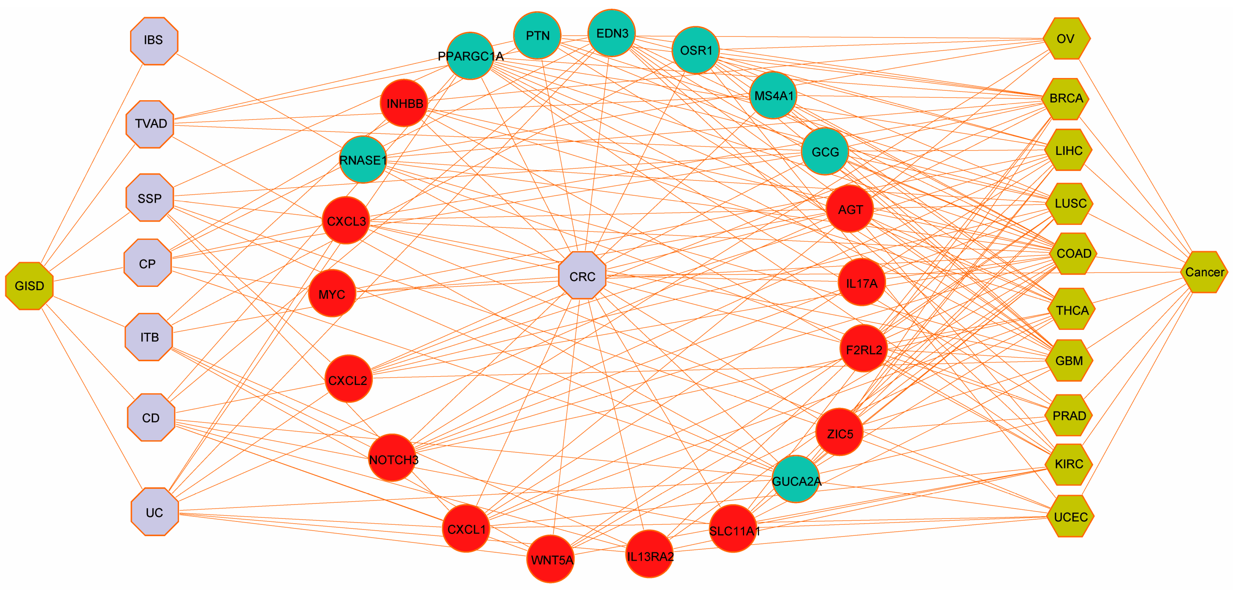 Biomedicines 12 02656 g006
