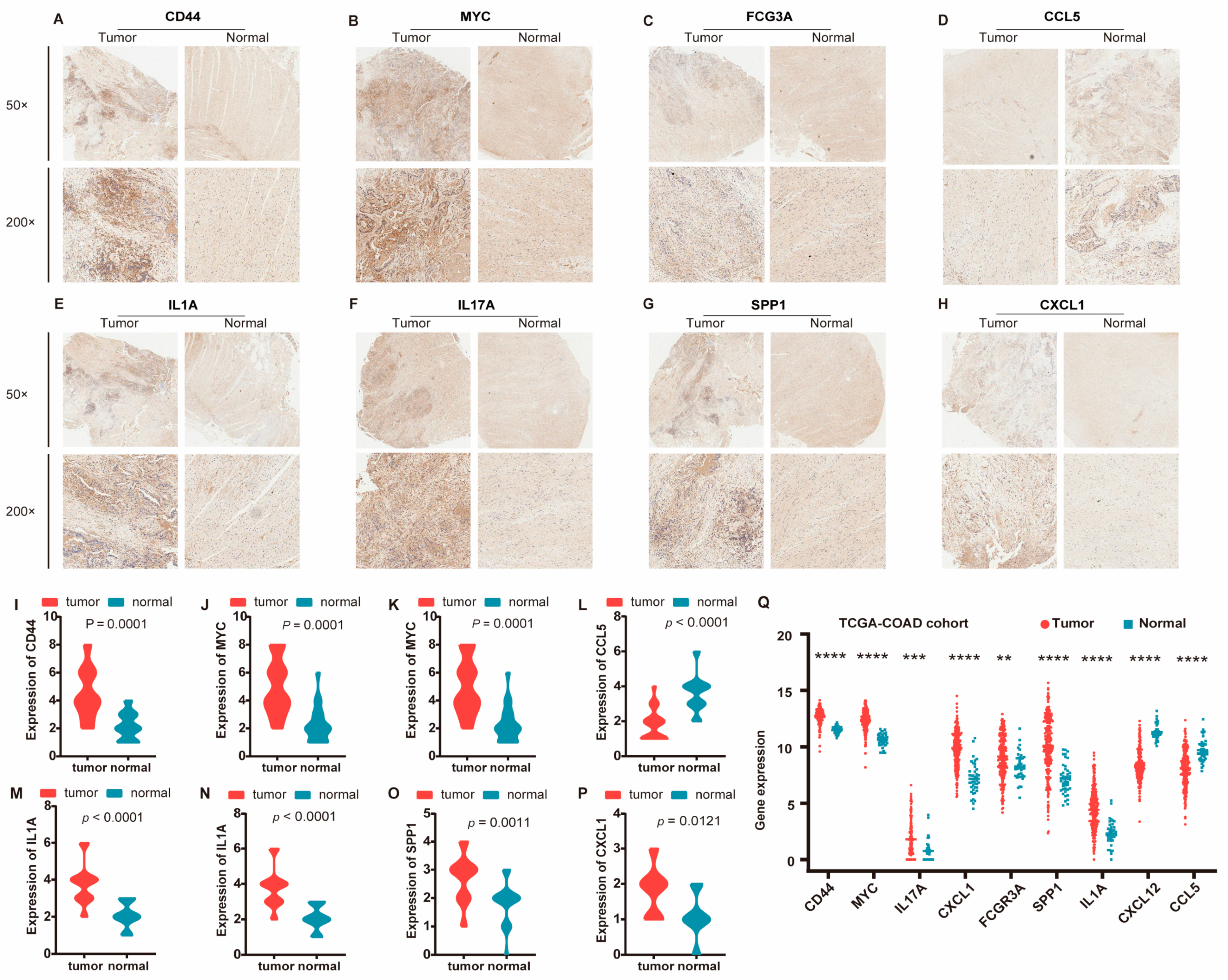 Biomedicines 12 02656 g007