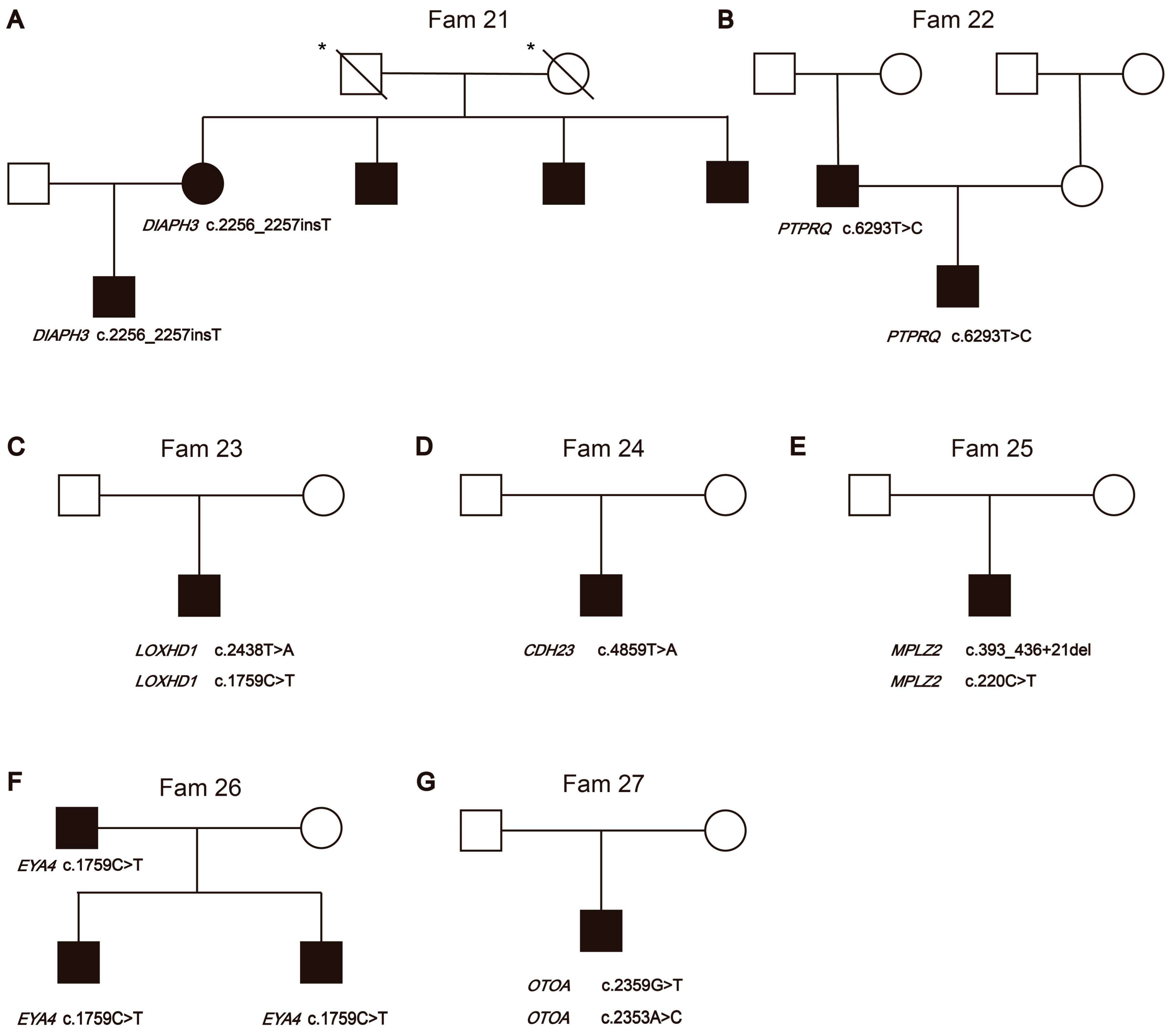 Biomedicines 12 02657 g002