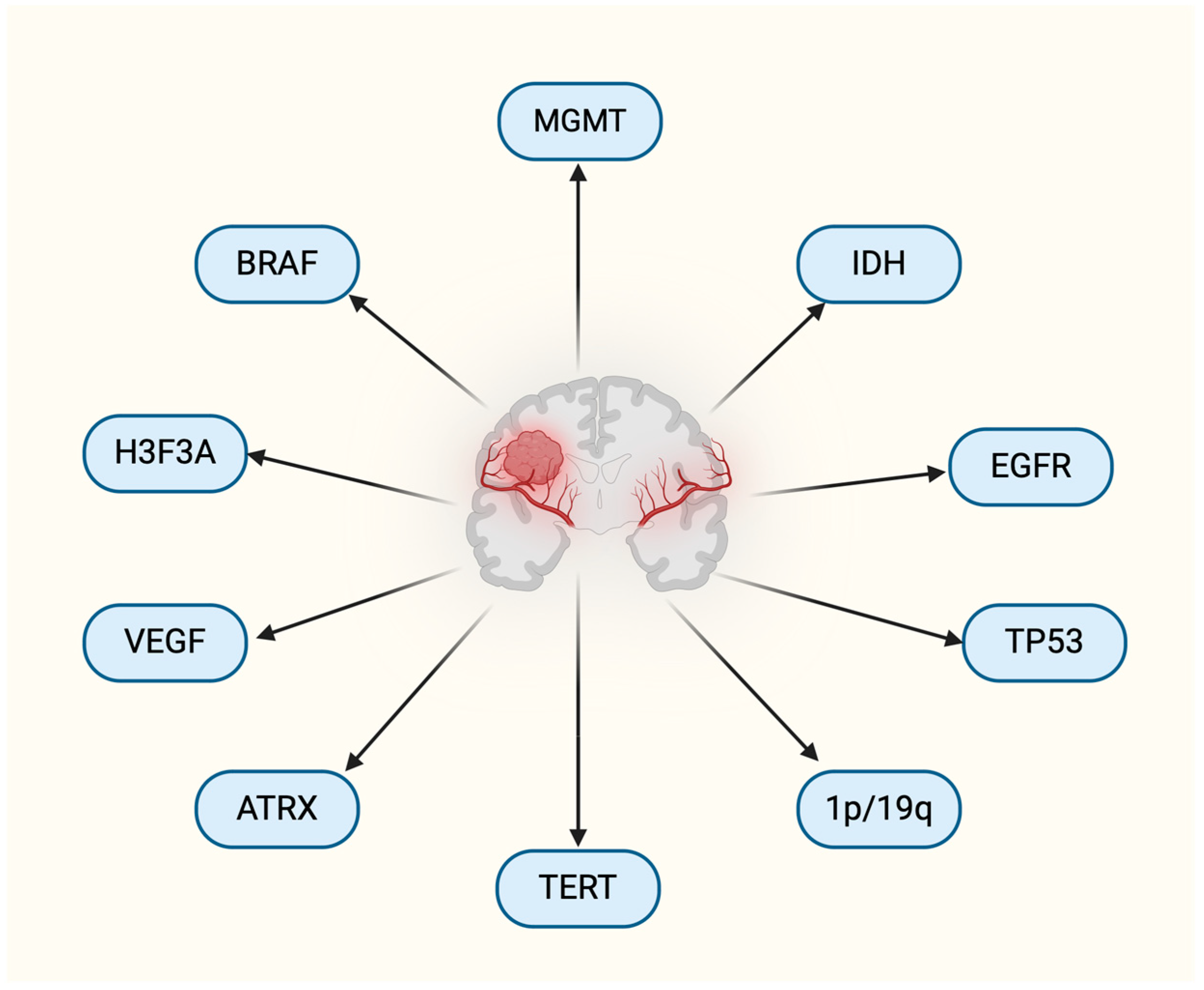 Biomedicines 12 02664 g001