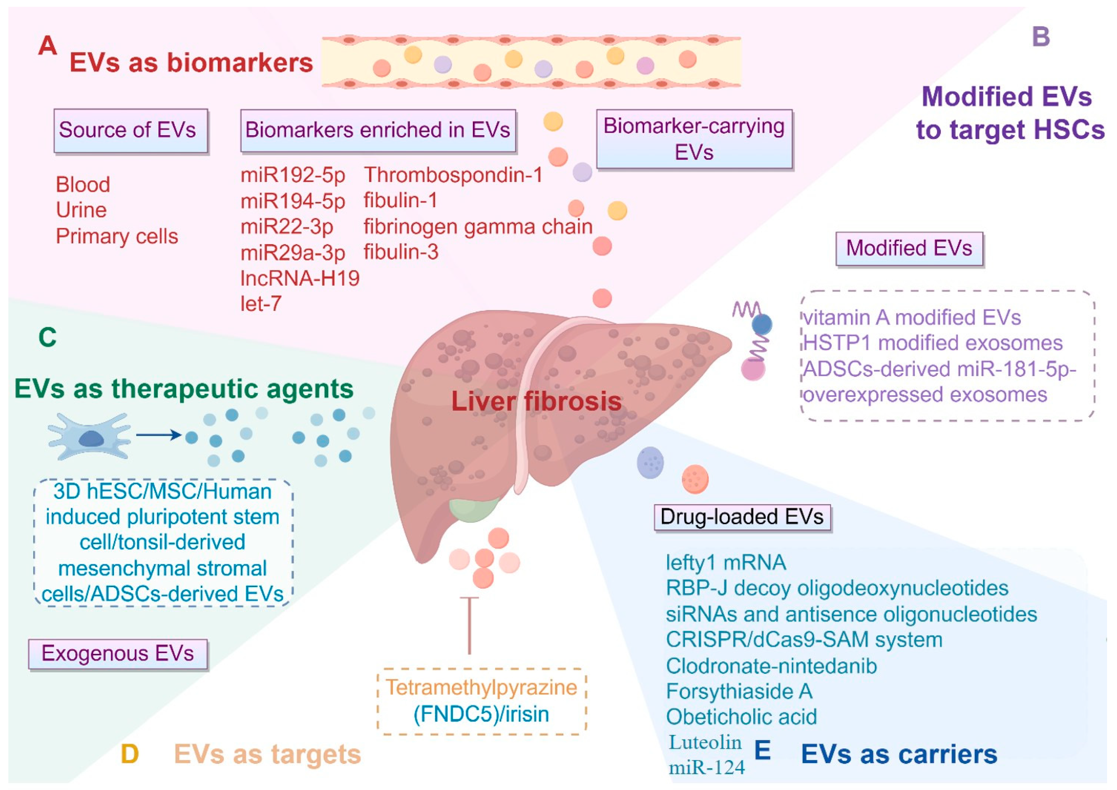 Biomedicines 12 02665 g003