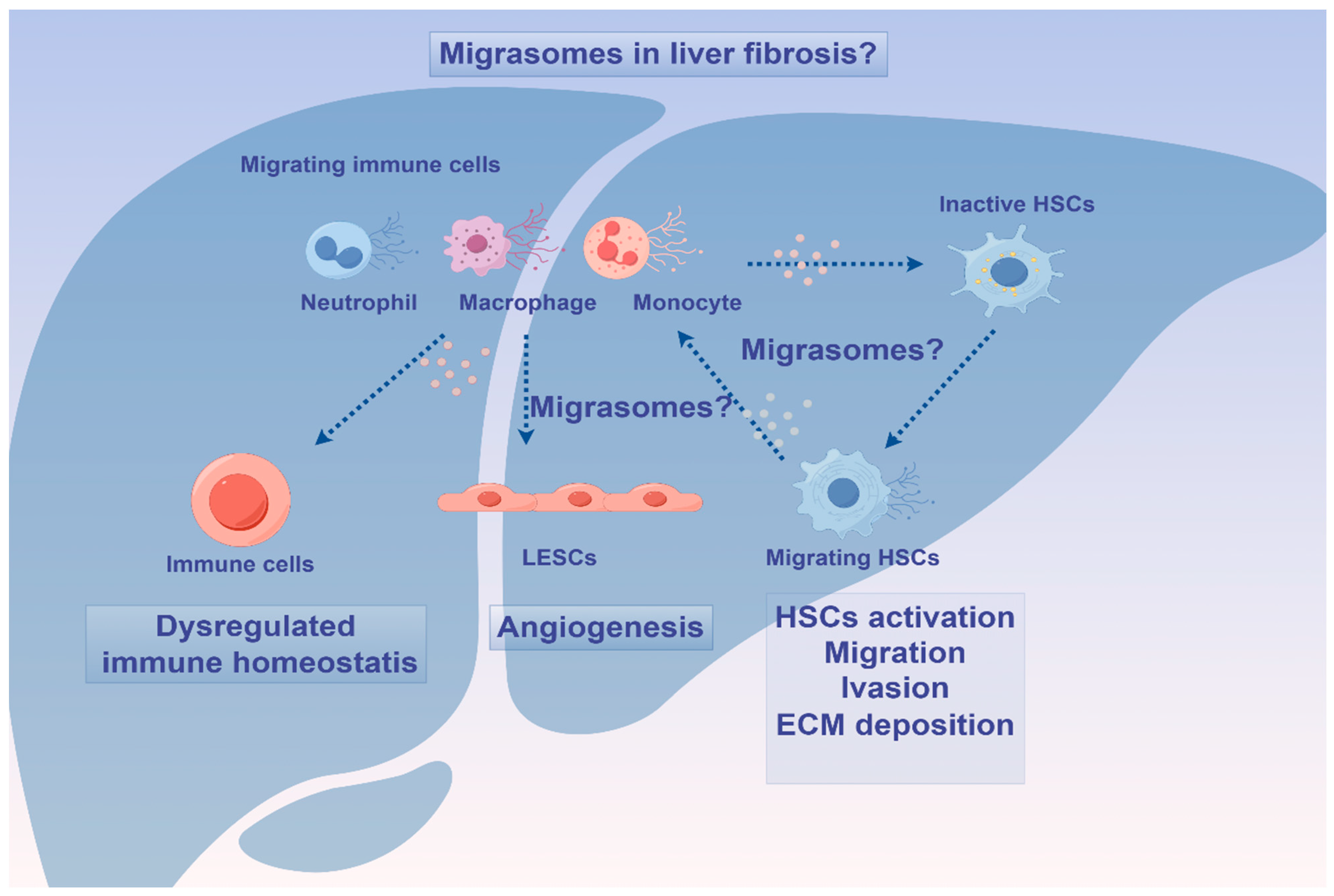Biomedicines 12 02665 g005