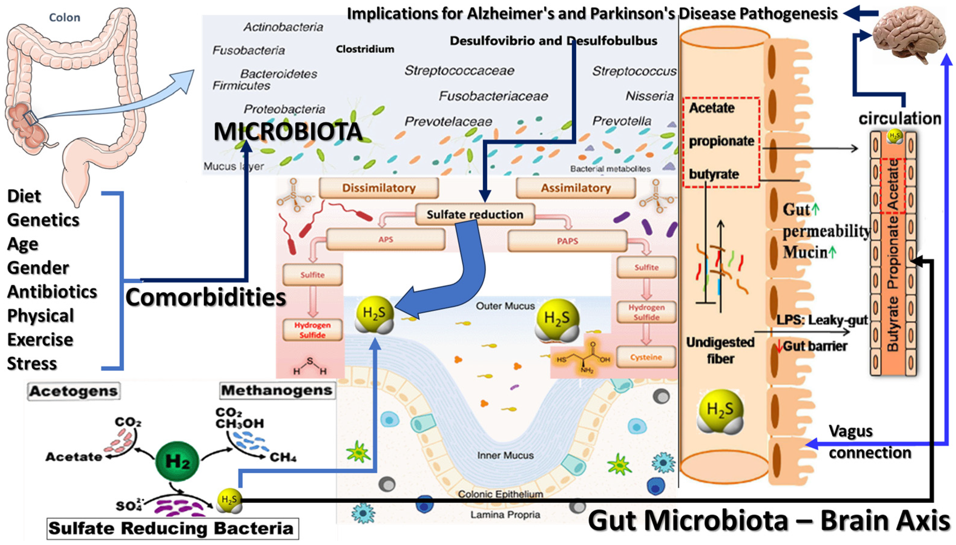 Biomedicines 12 02670 g002