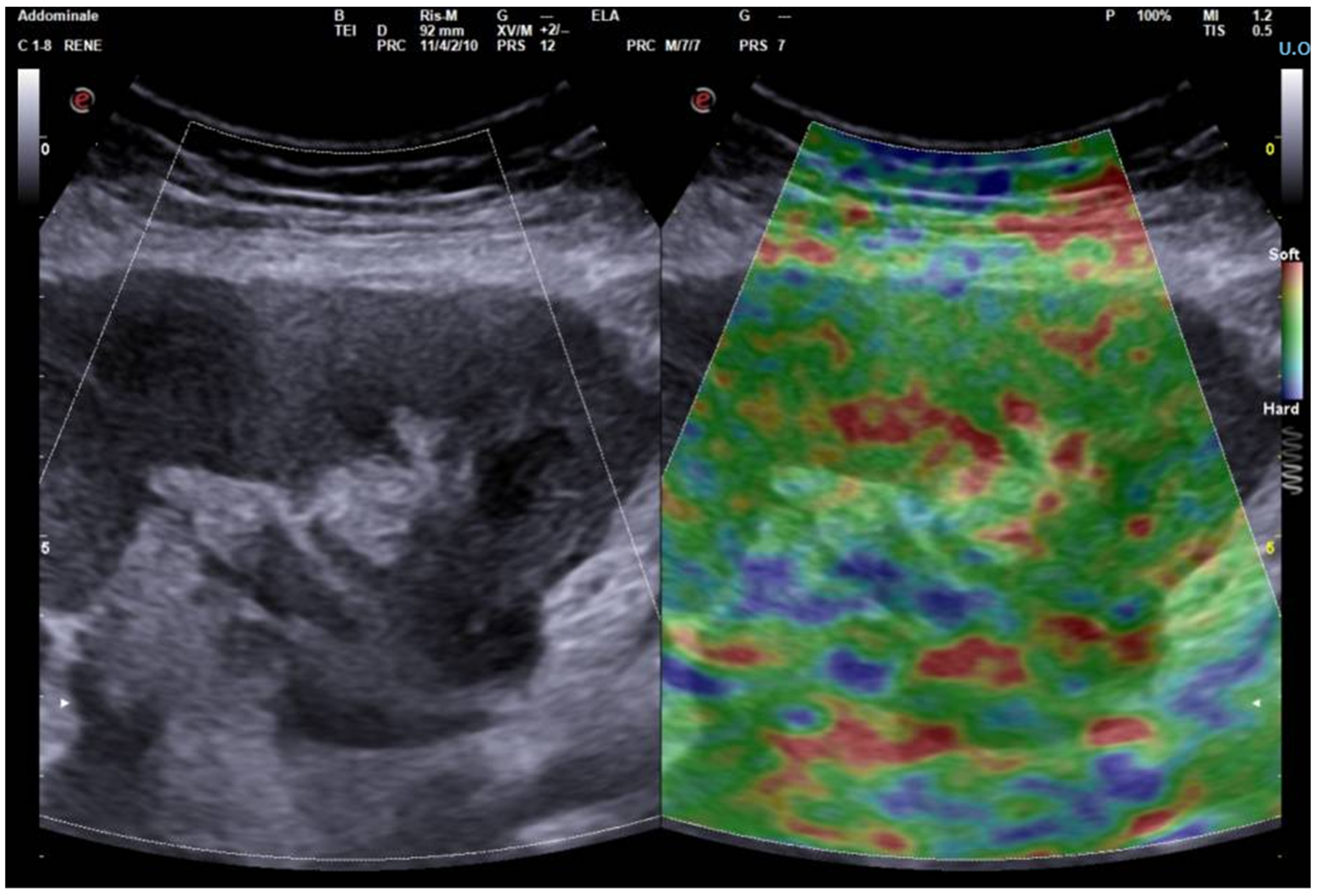 Biomedicines 12 02671 g001