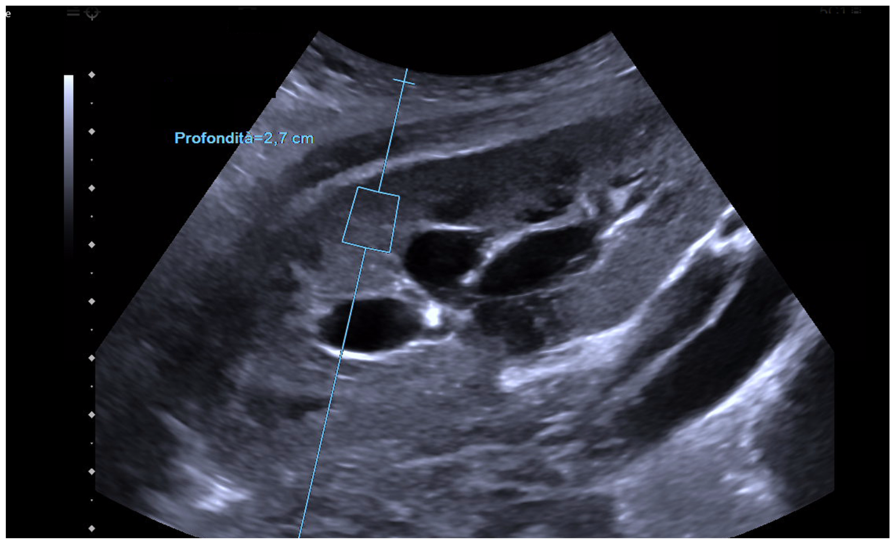 Biomedicines 12 02671 g002