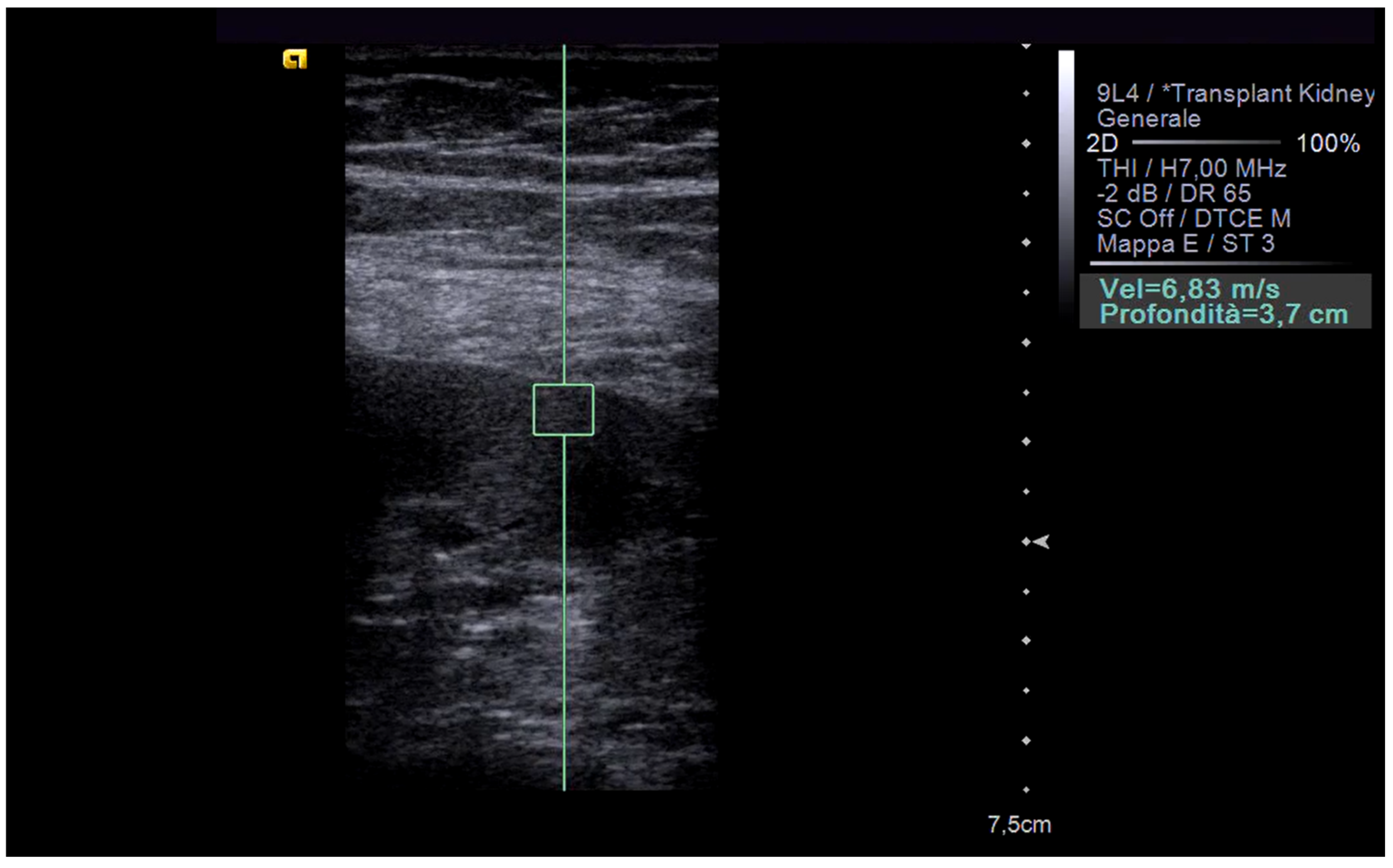 Biomedicines 12 02671 g003