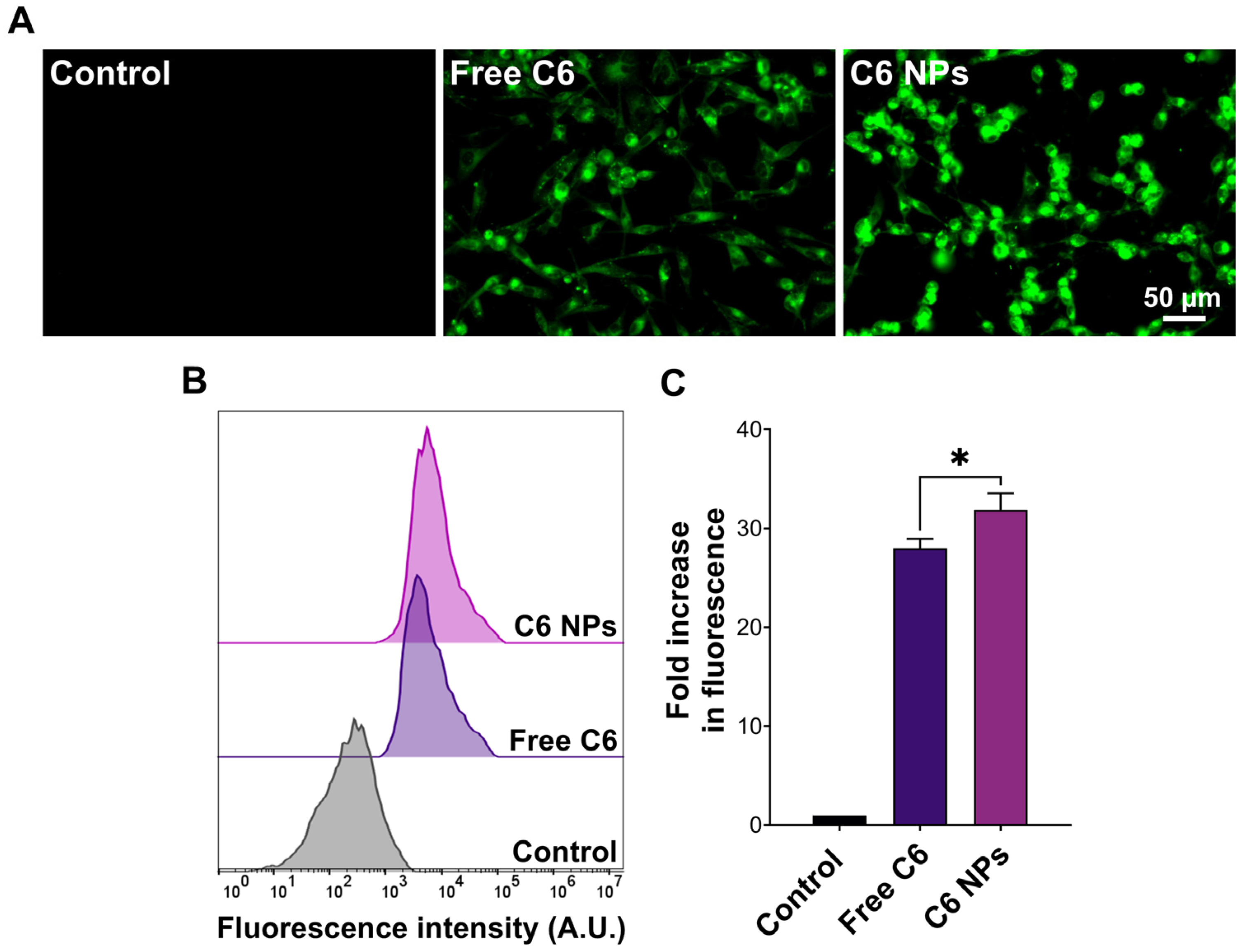 Biomedicines 12 02676 g005