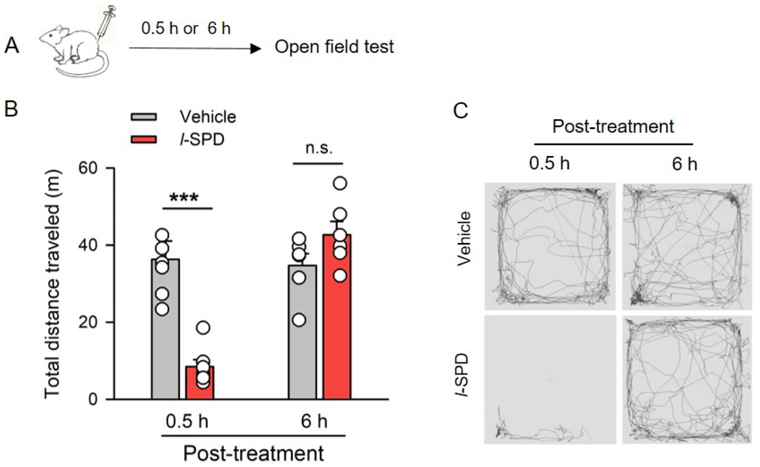 Biomedicines 12 02680 g001