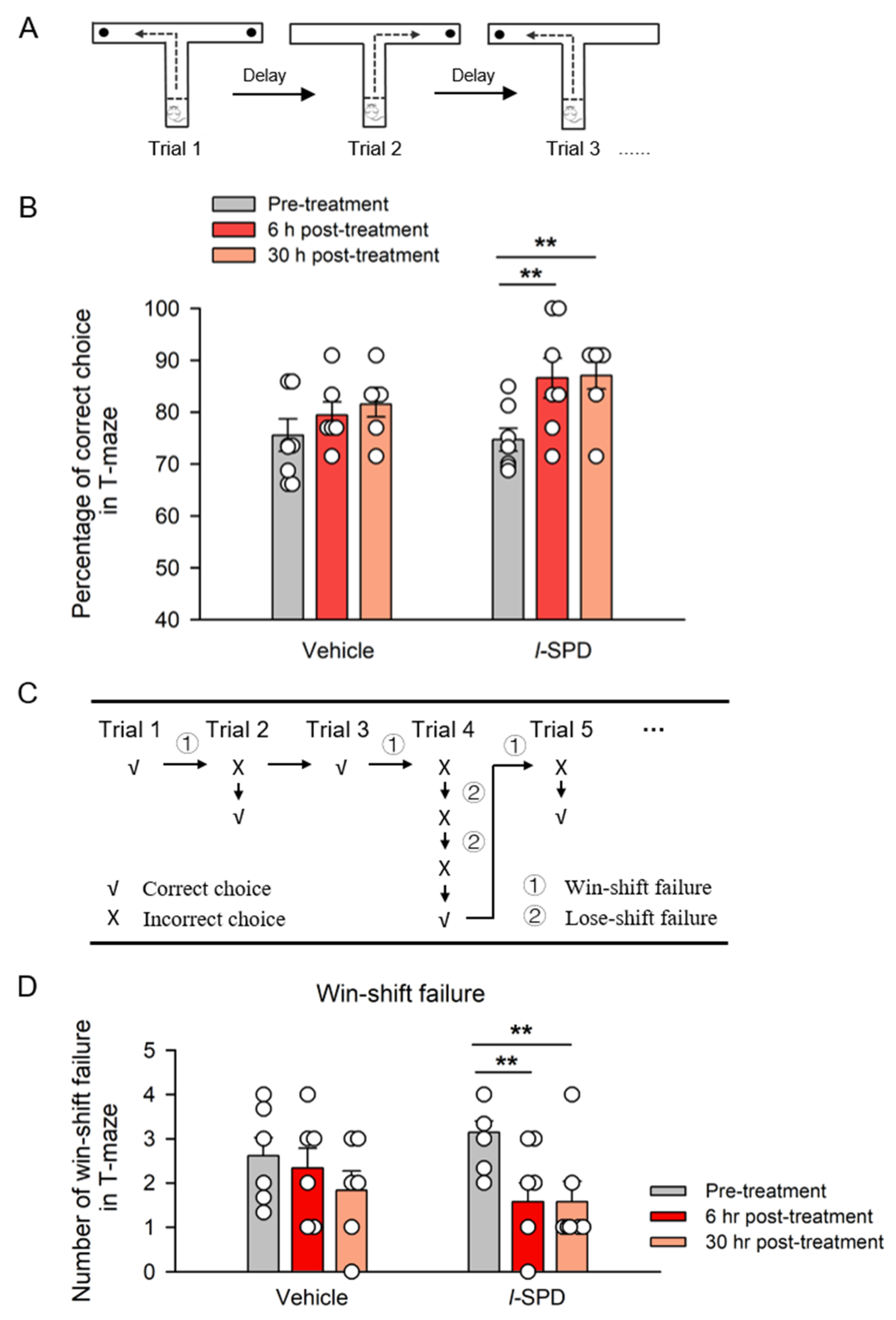 Biomedicines 12 02680 g002