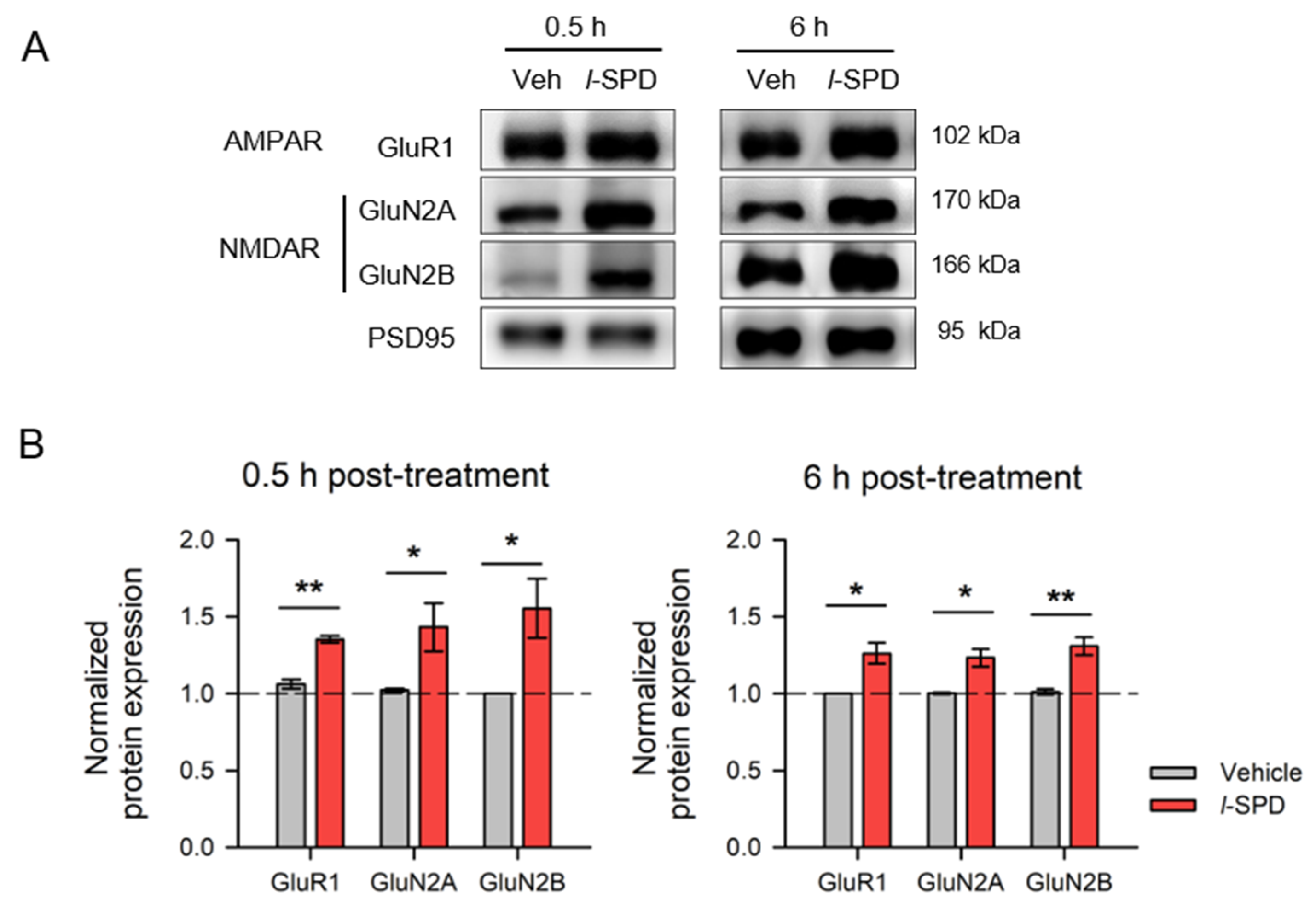 Biomedicines 12 02680 g006