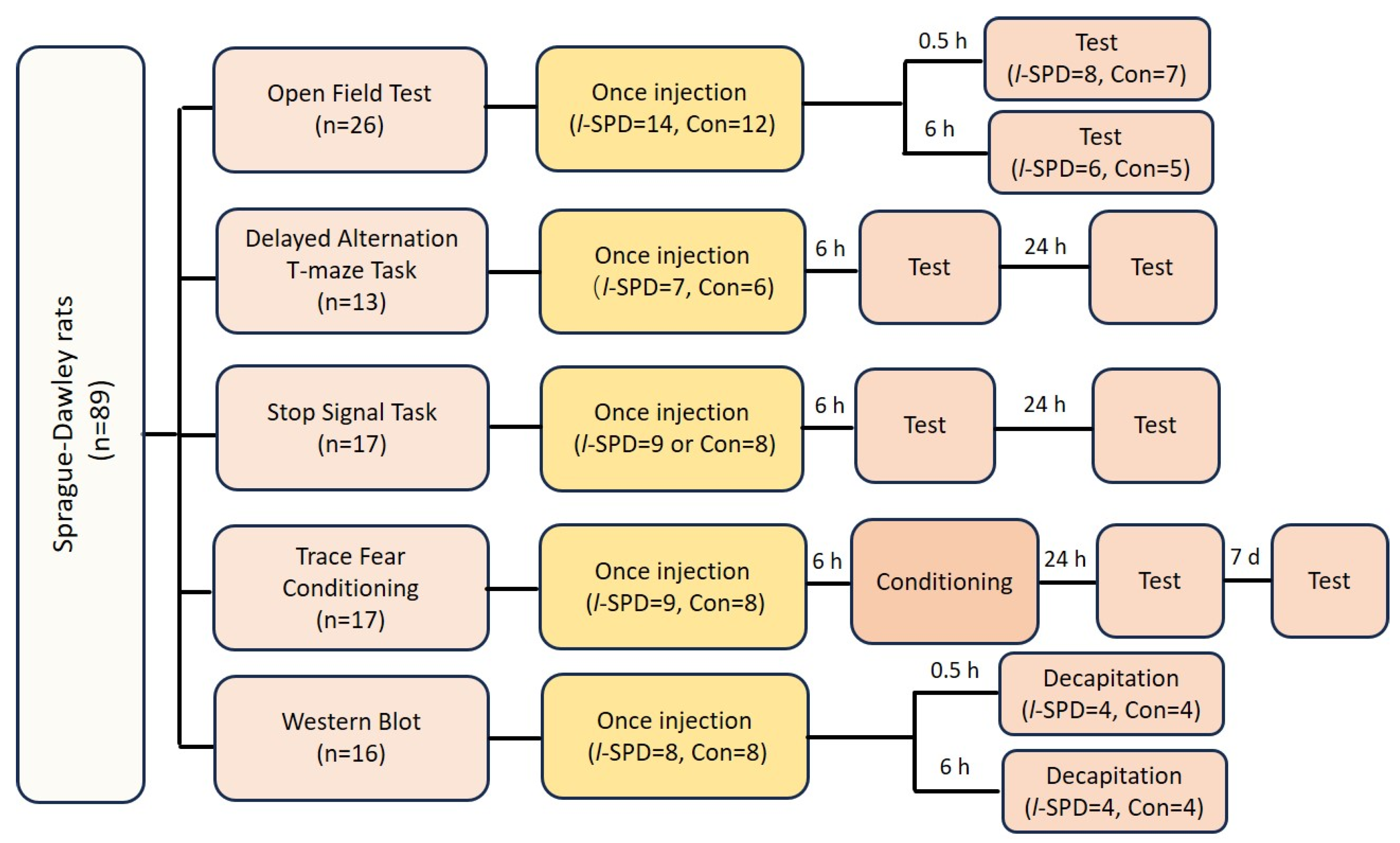 Biomedicines 12 02680 sch001