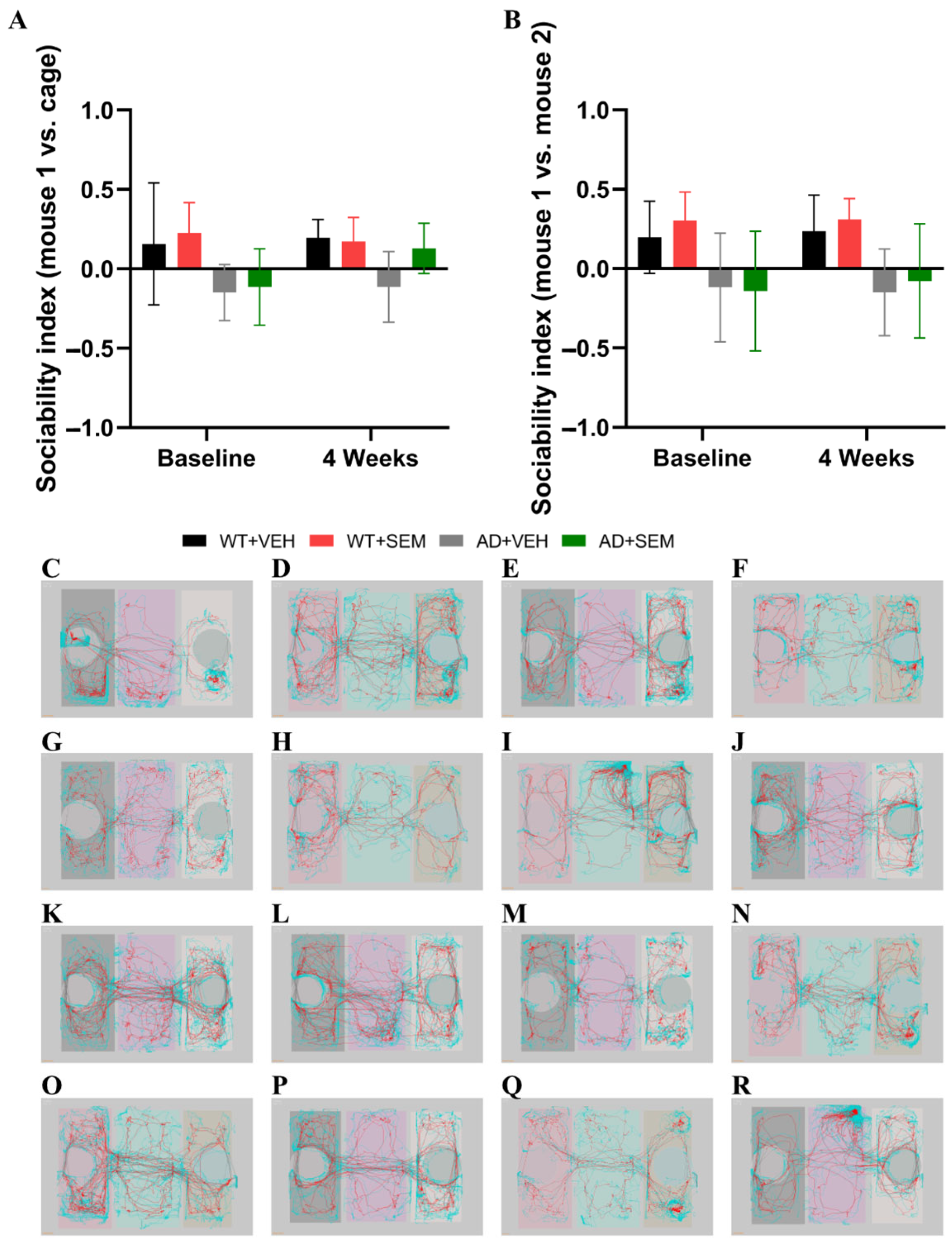 Biomedicines 12 02689 g006