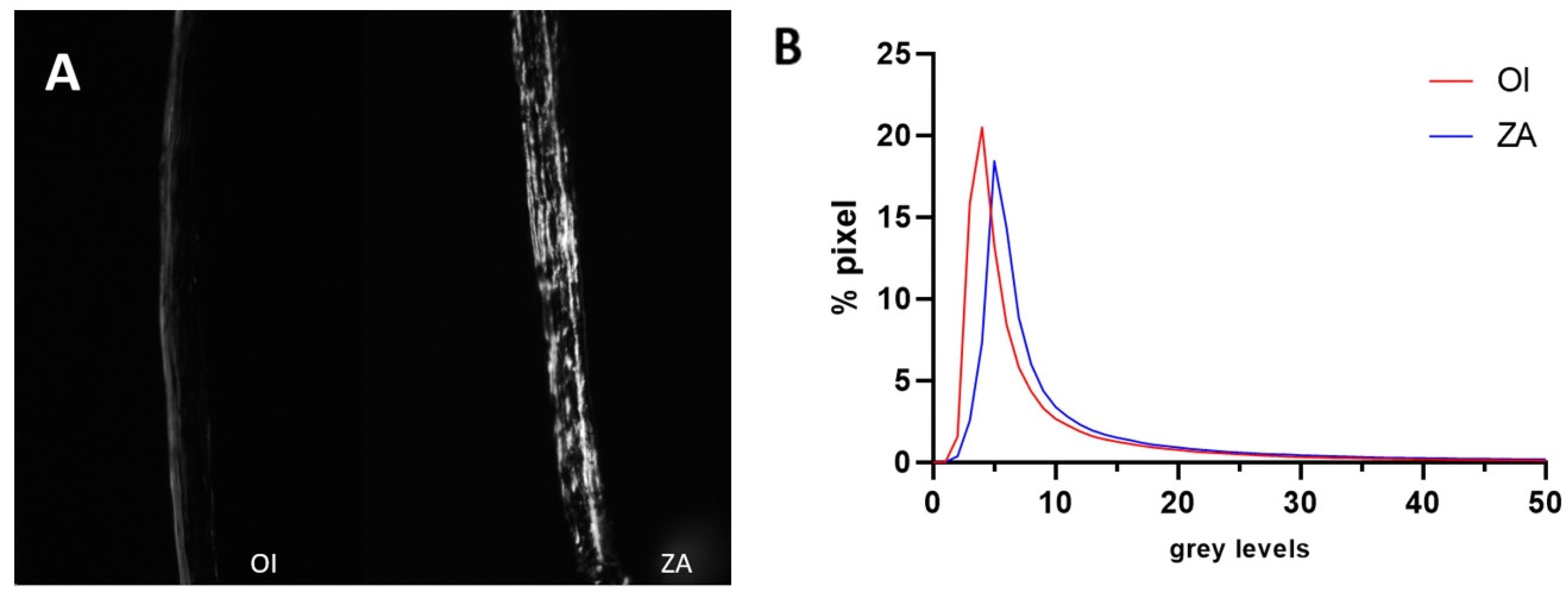 Biomedicines 12 02692 g004