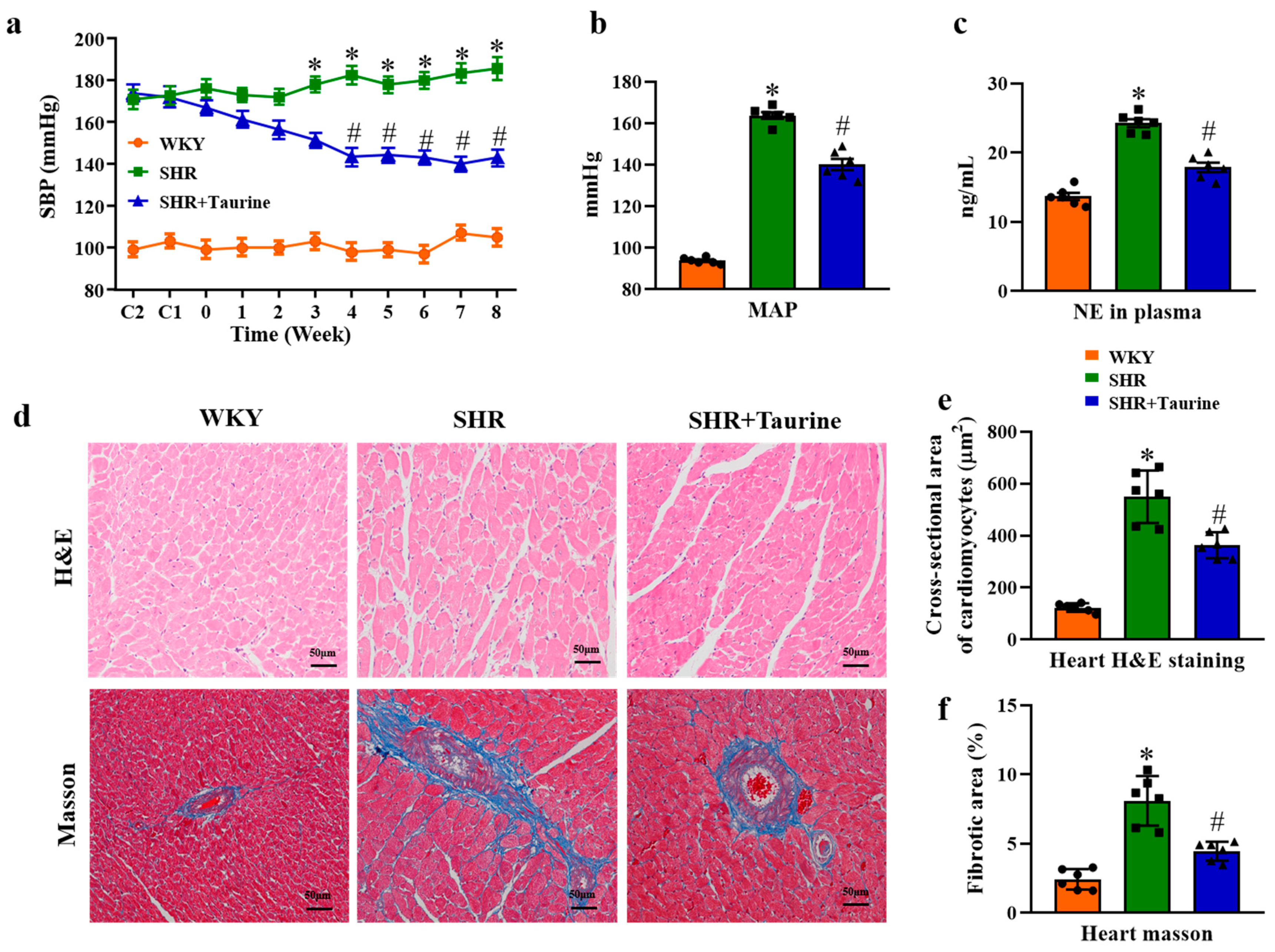 Biomedicines 12 02711 g001