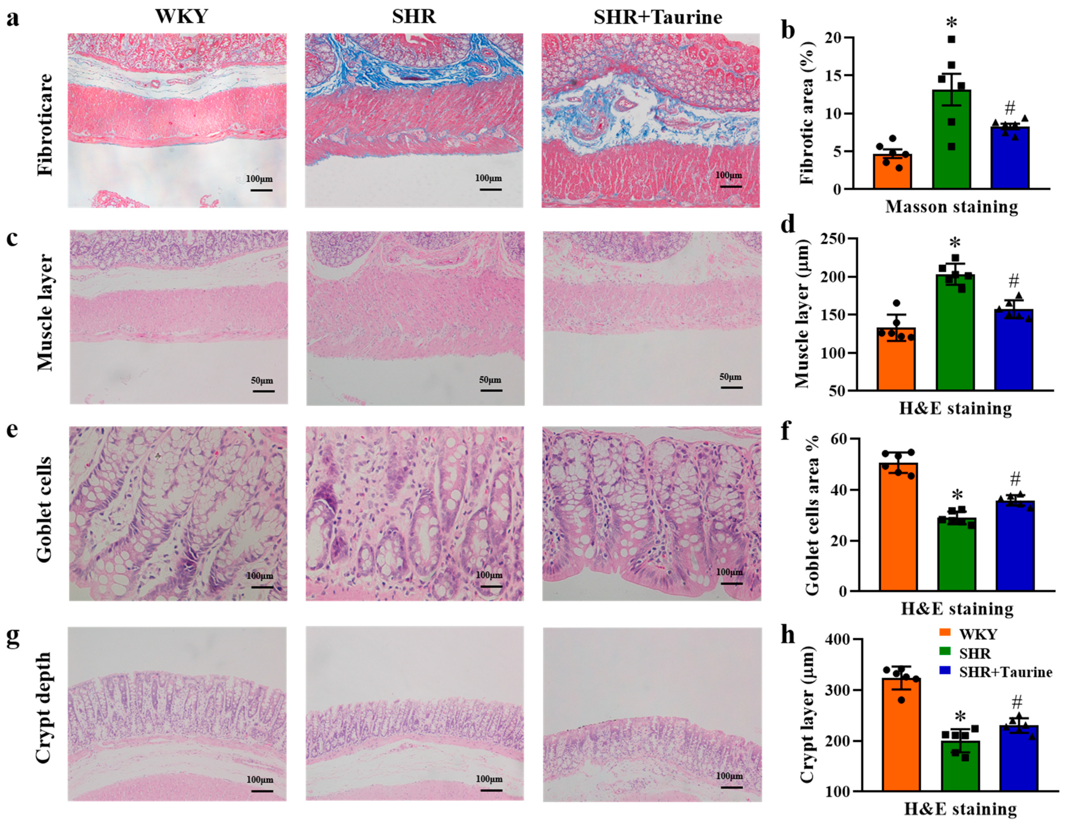 Biomedicines 12 02711 g003