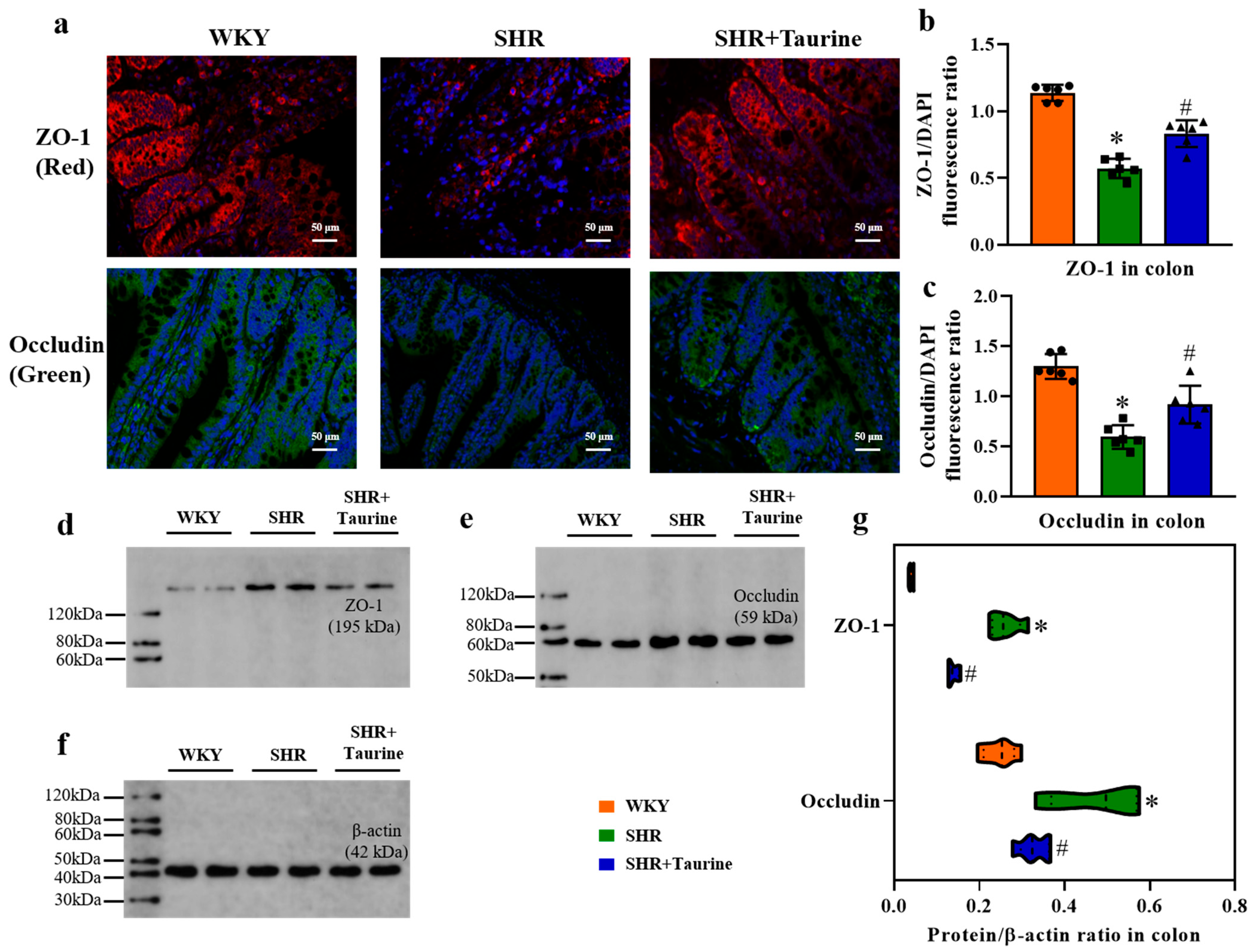 Biomedicines 12 02711 g004