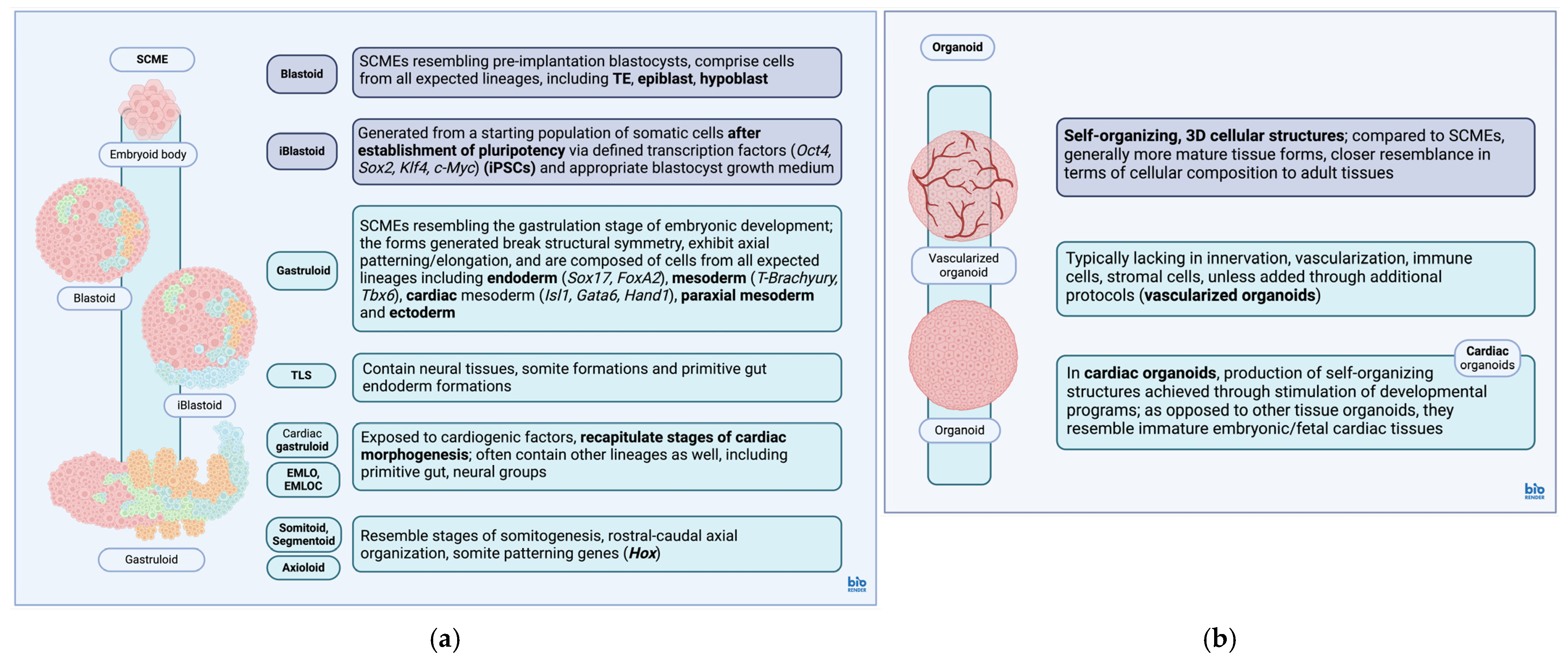 Biomedicines 12 02714 g001