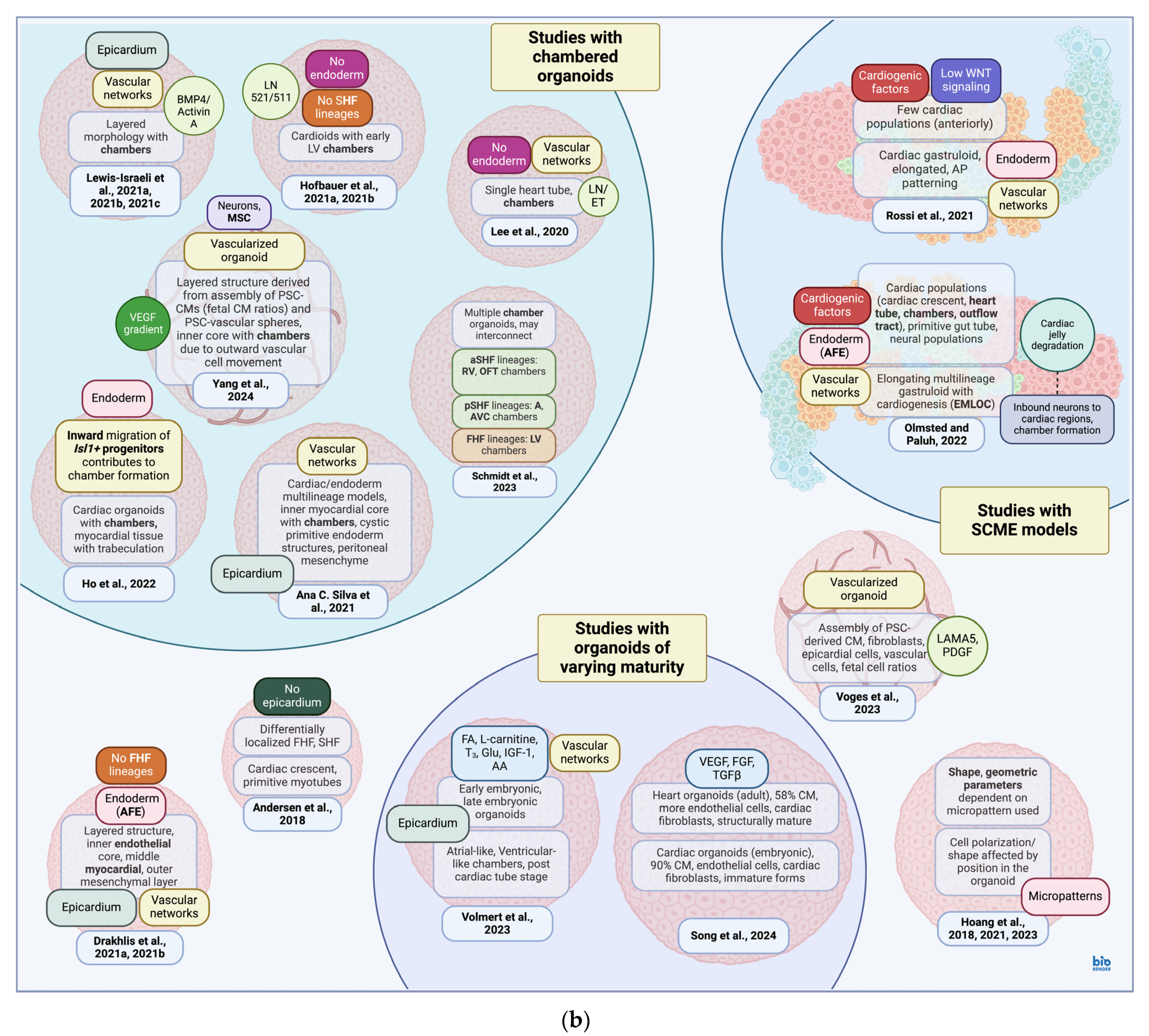 Biomedicines 12 02714 g002b