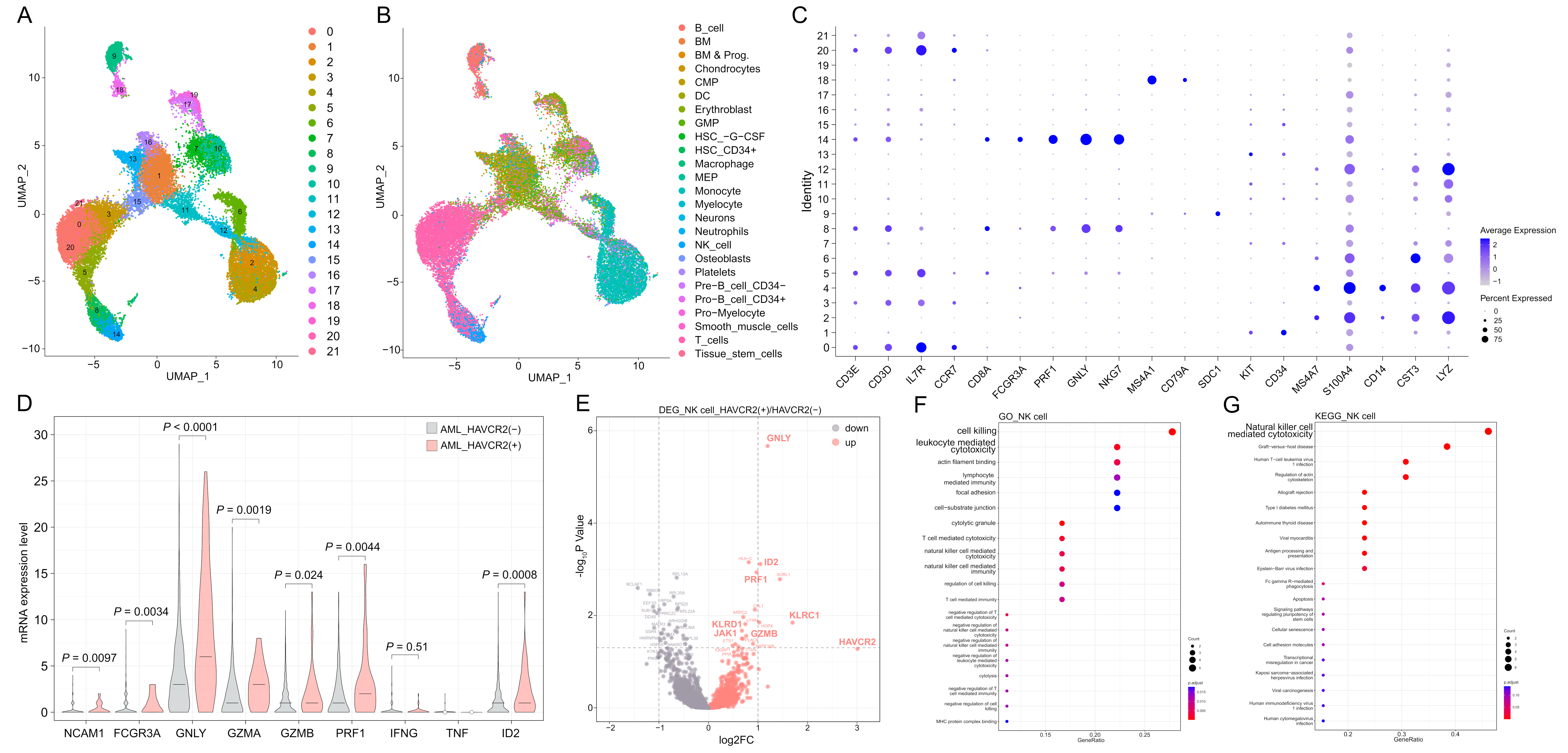 Biomedicines 12 02717 g001