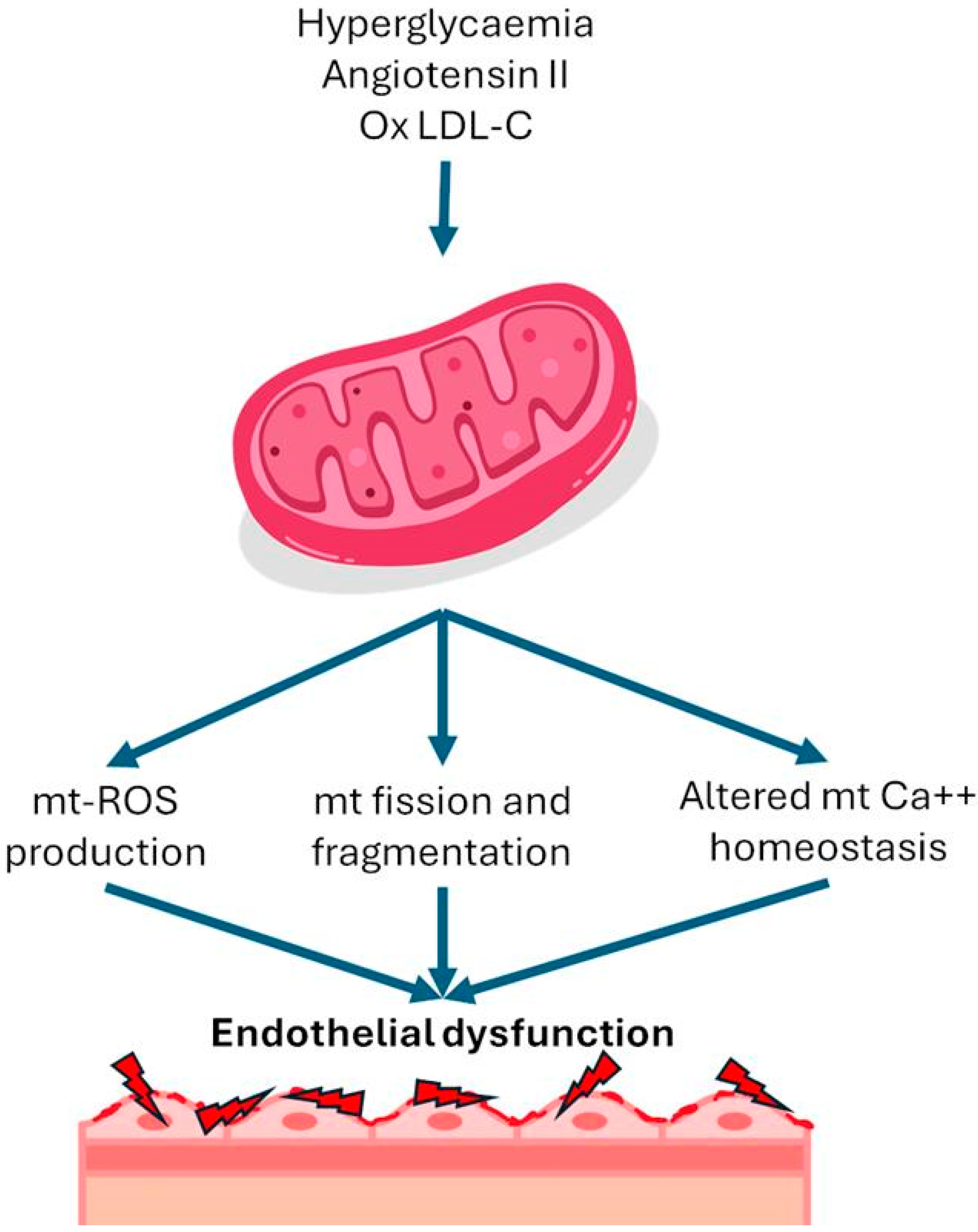 Biomedicines 12 02720 g001