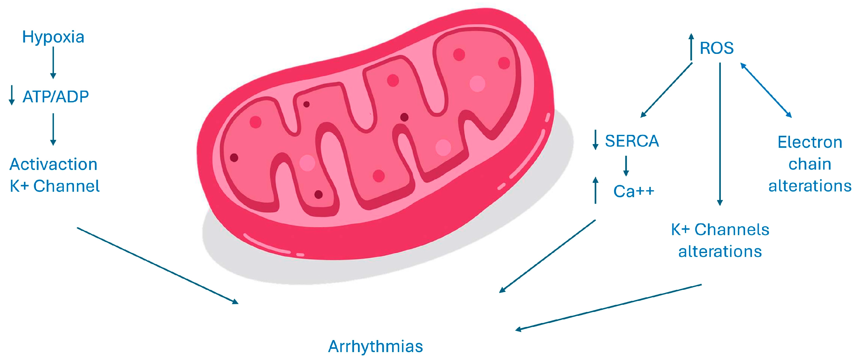 Biomedicines 12 02720 g002