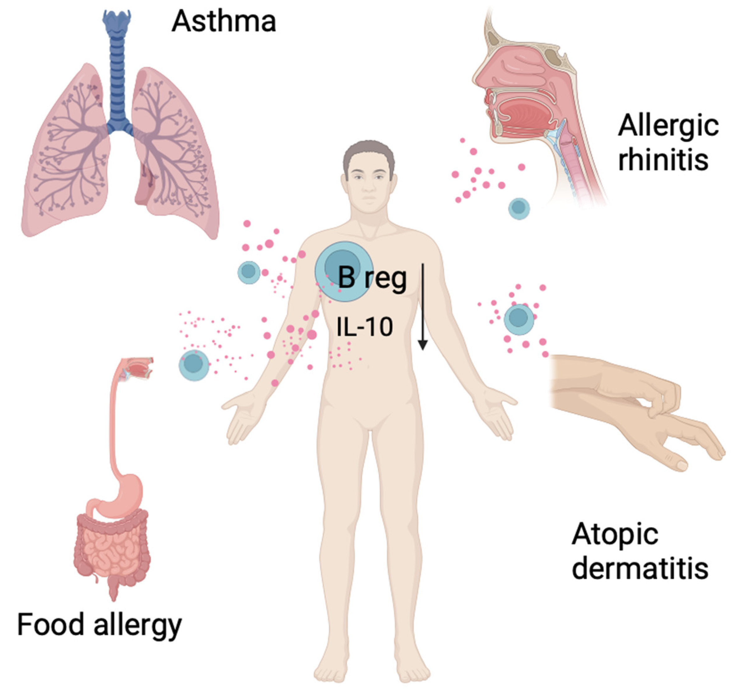 Biomedicines 12 02721 g001