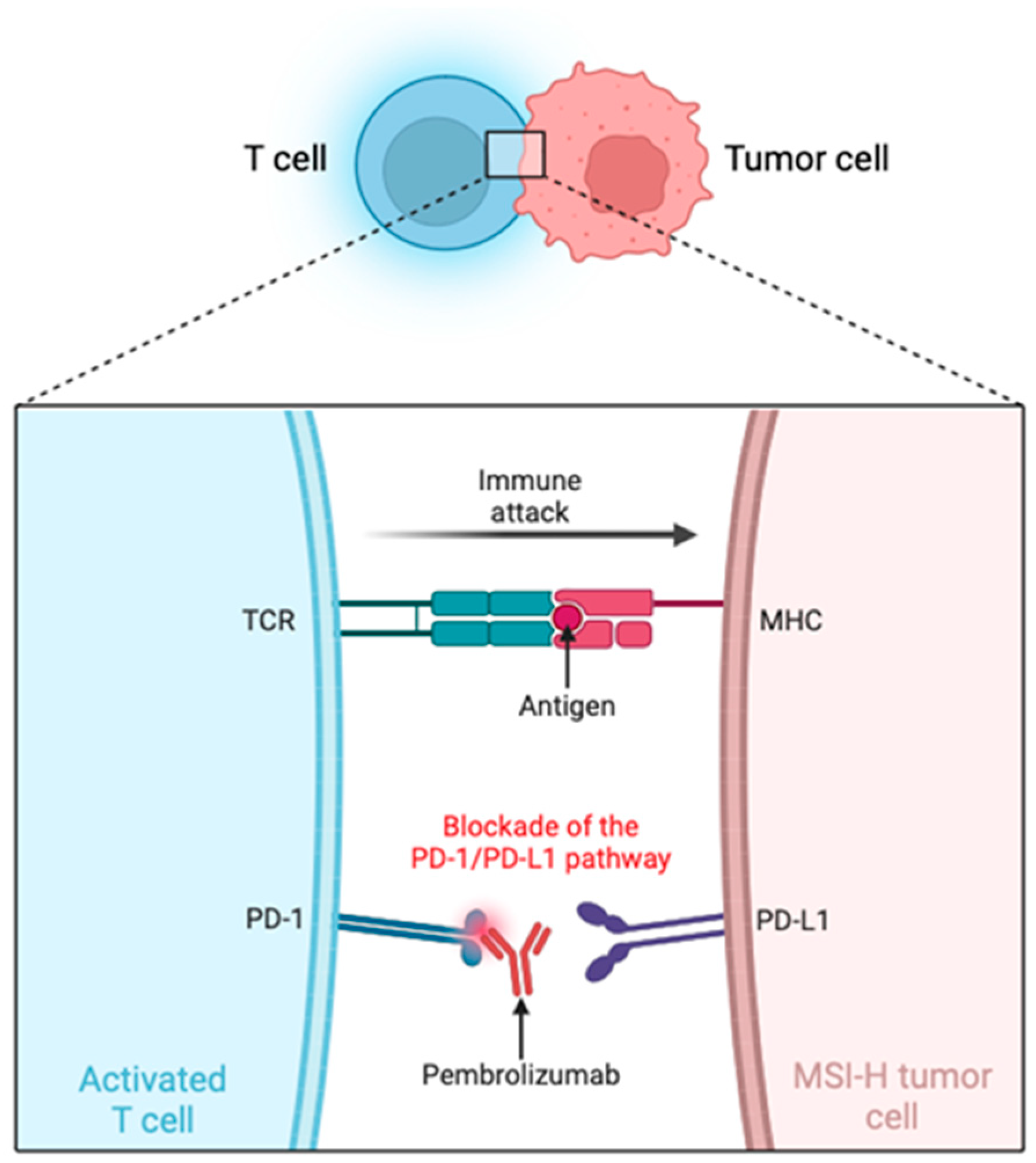 Biomedicines 12 02726 g002