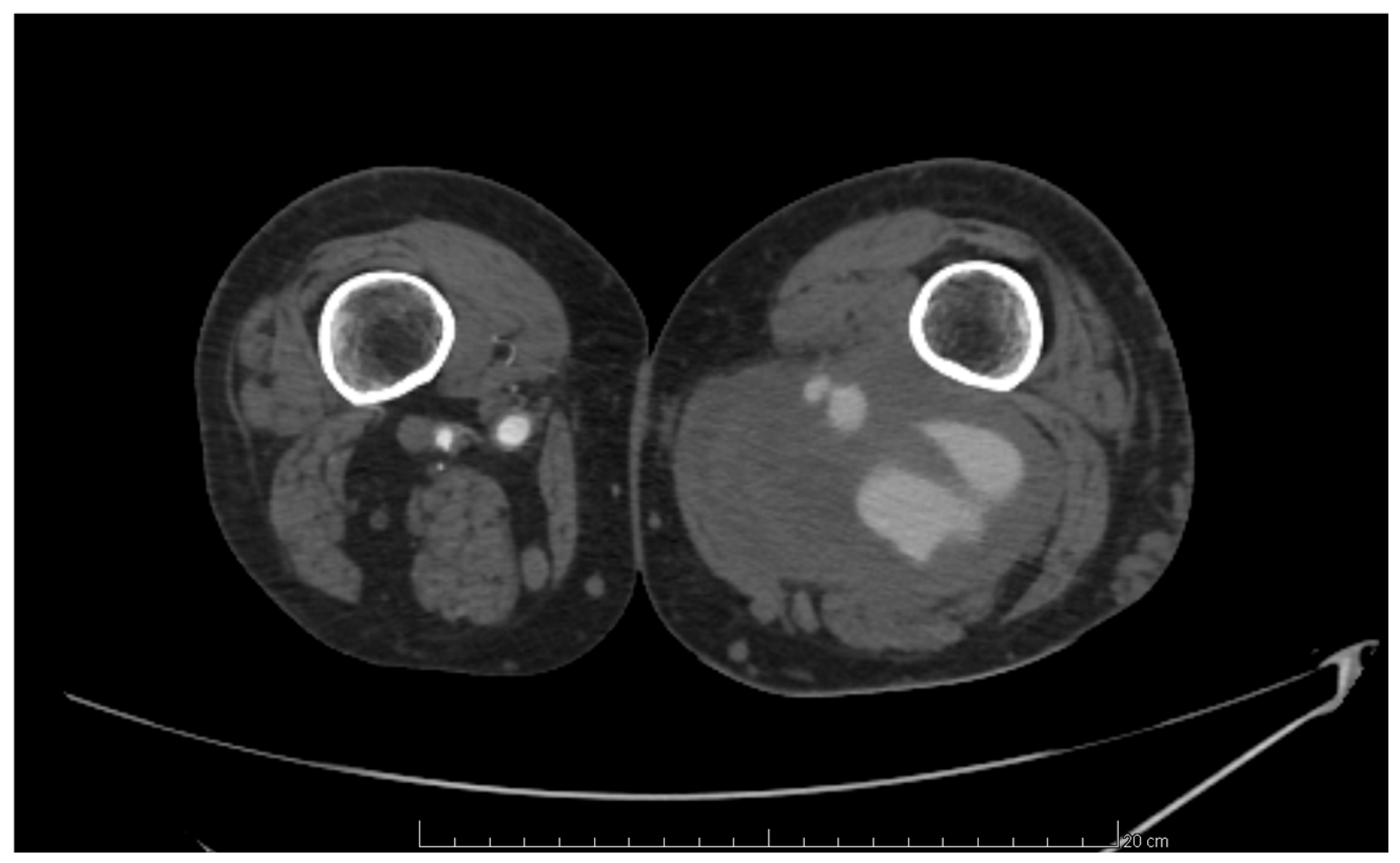 Biomedicines 12 02727 g001