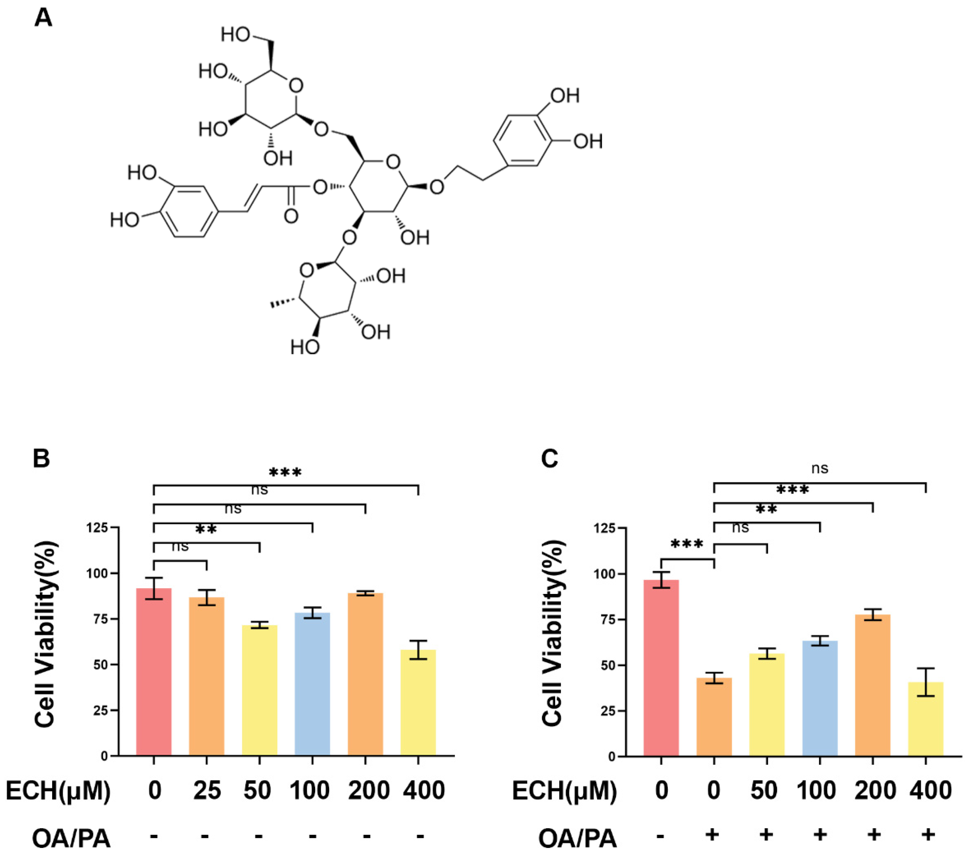Biomedicines 12 02728 g001