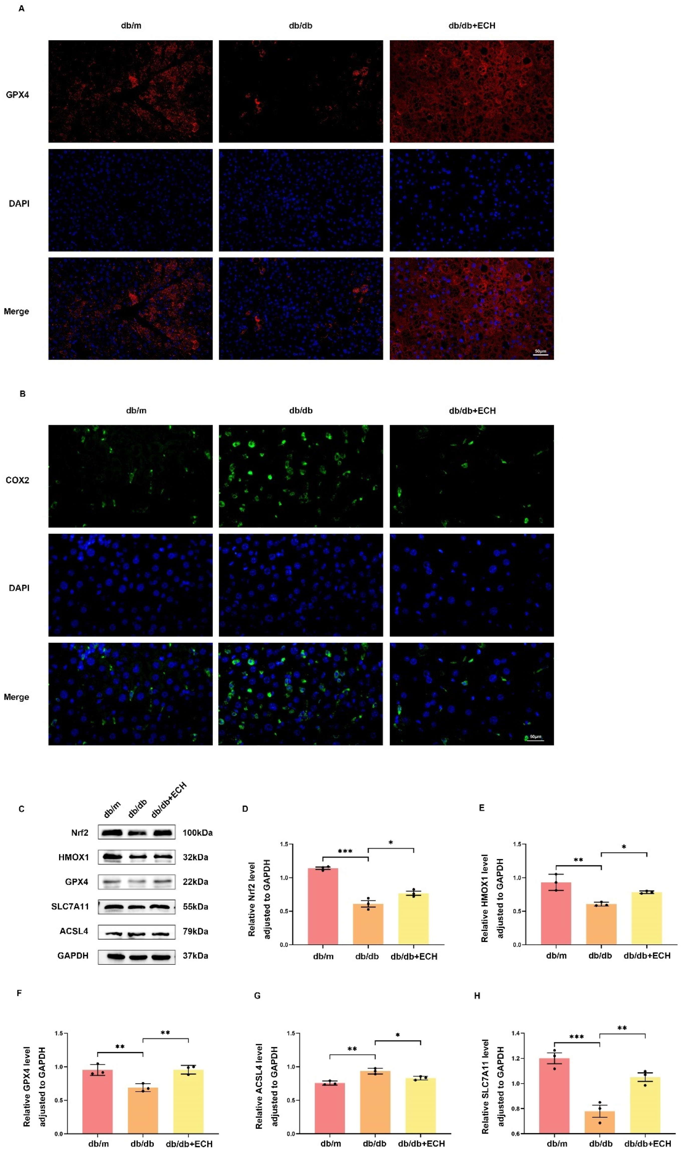 Biomedicines 12 02728 g009