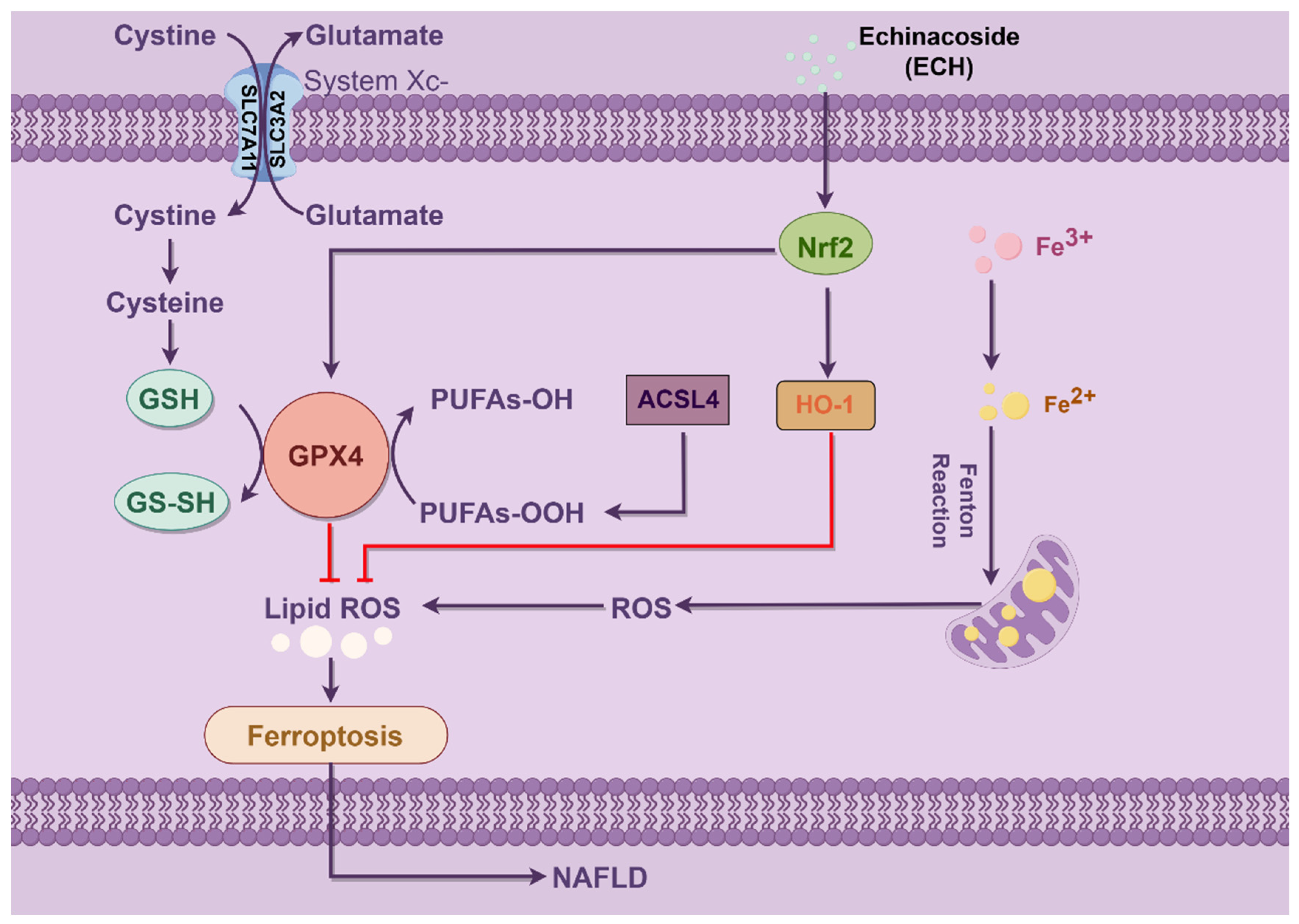 Biomedicines 12 02728 g010