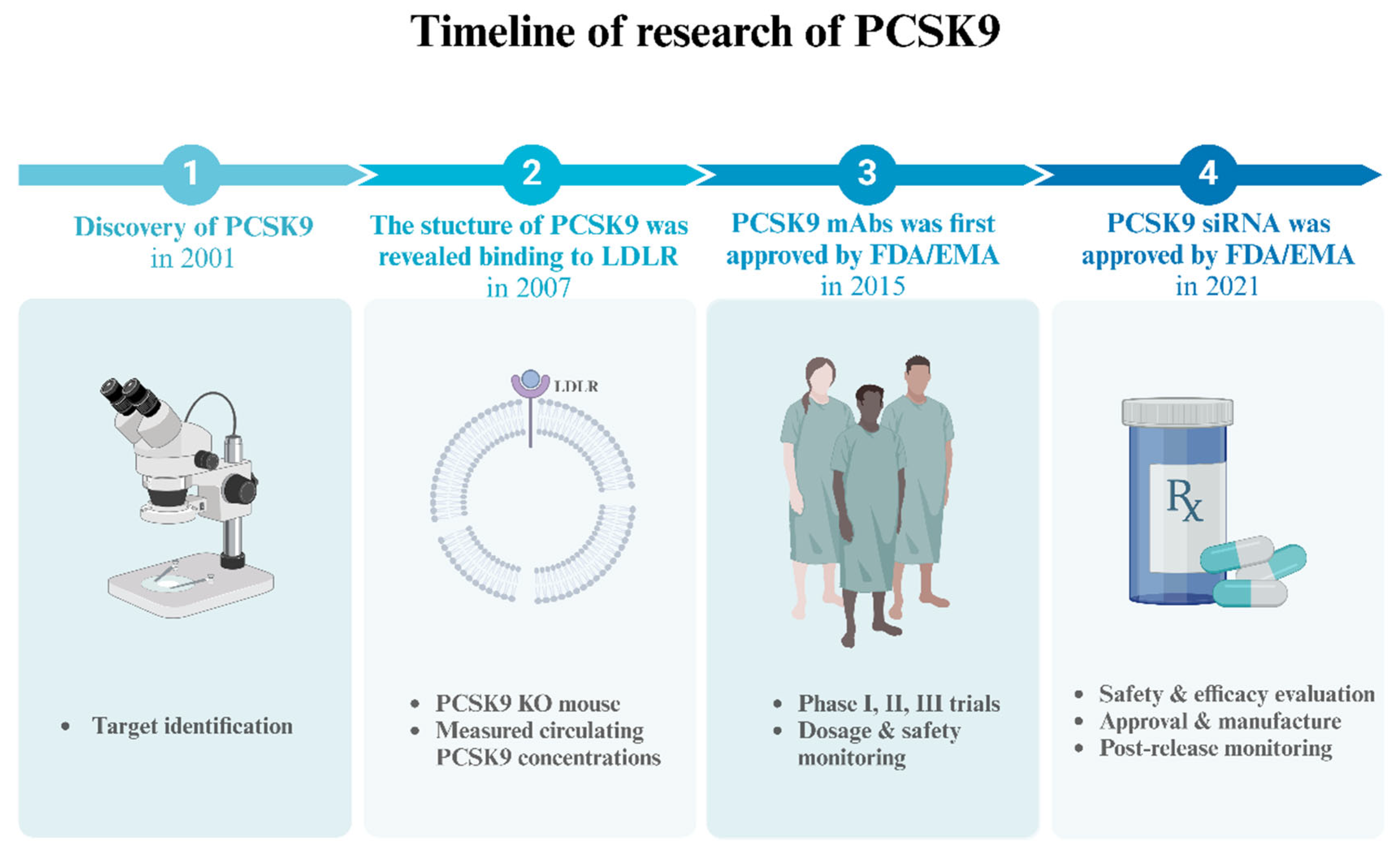 Biomedicines 12 02729 g001