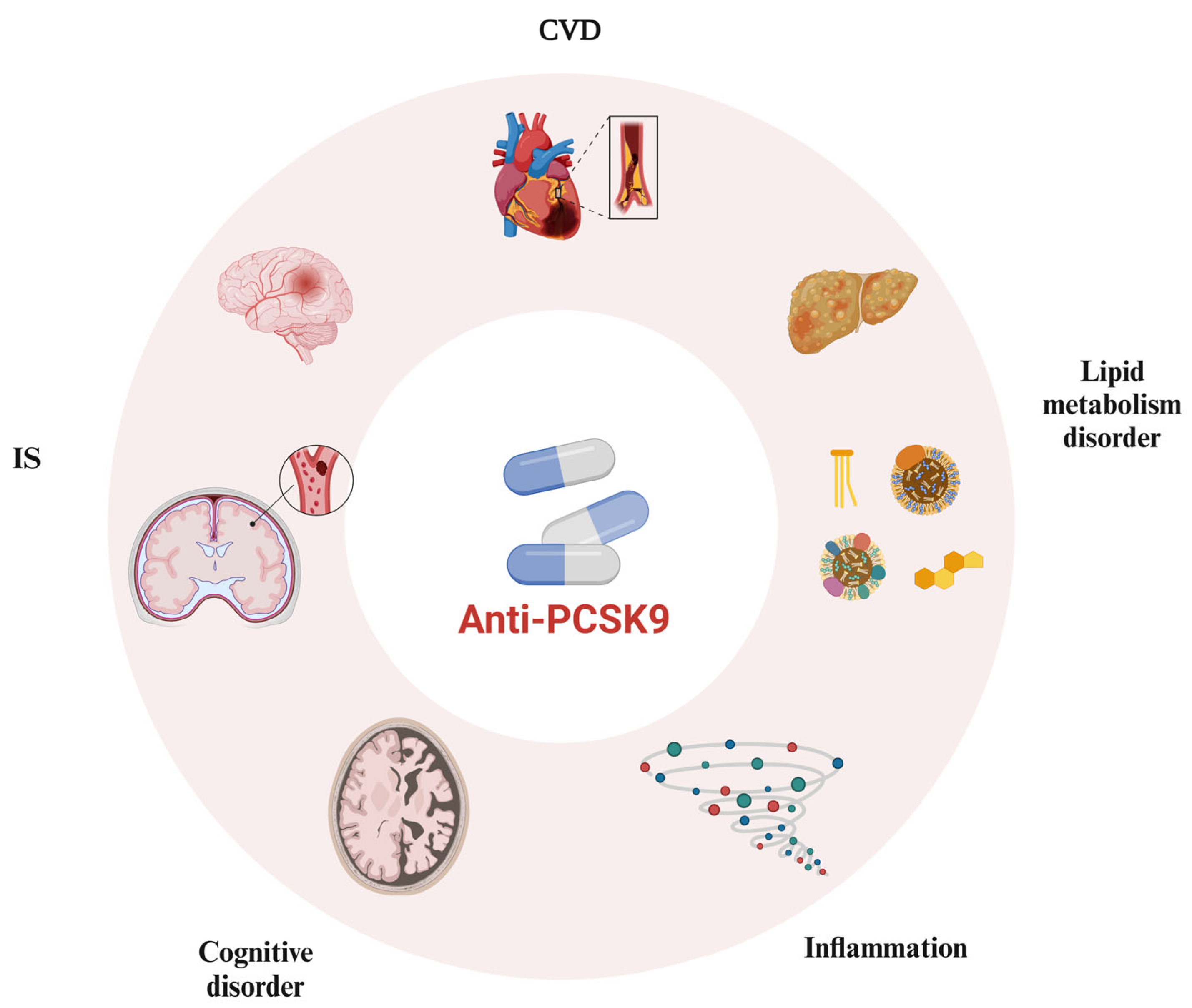 Biomedicines 12 02729 g004