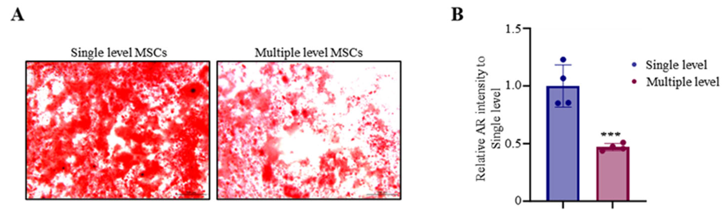 Biomedicines 12 02731 g004
