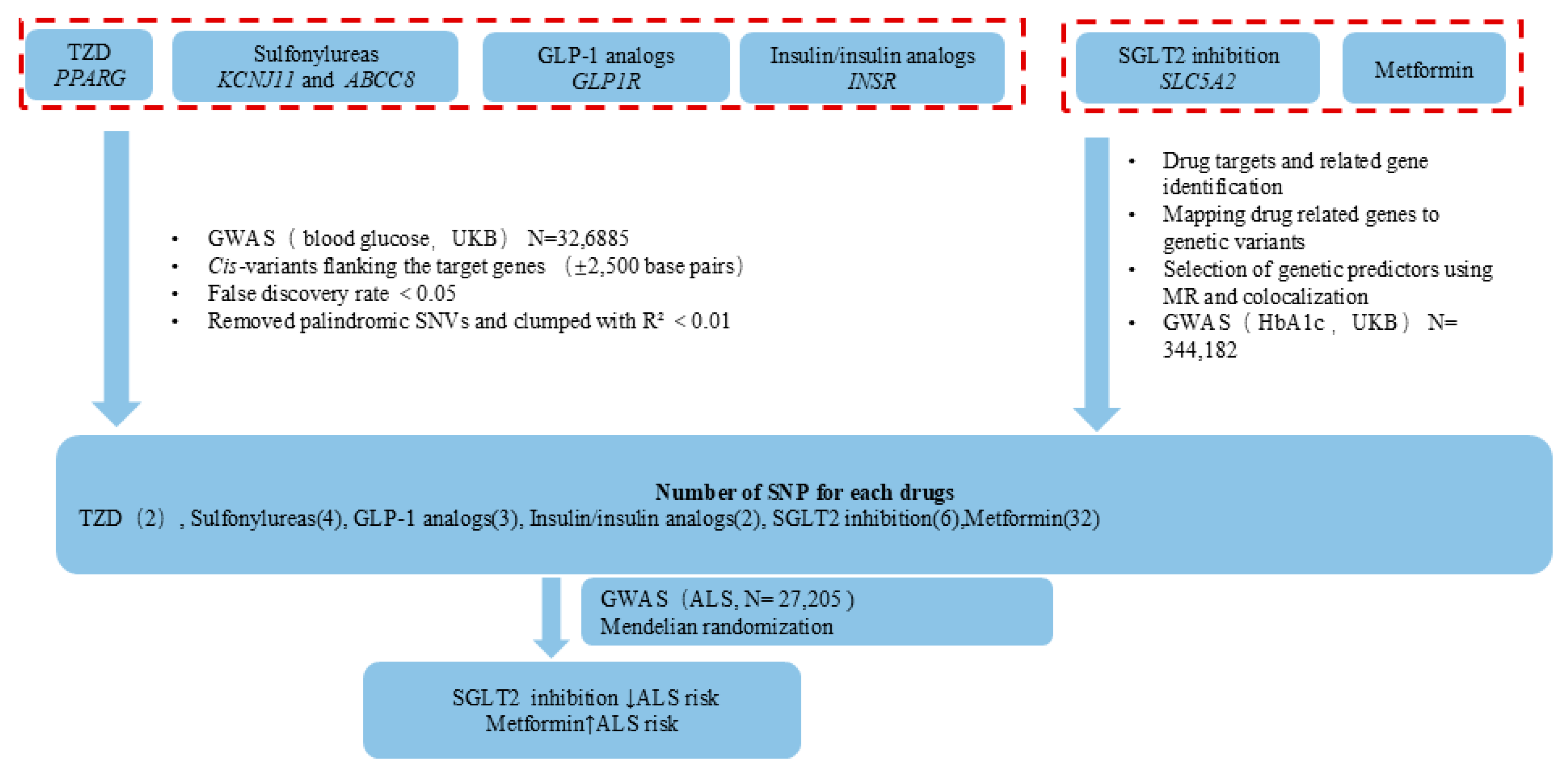 Biomedicines 12 02733 g001